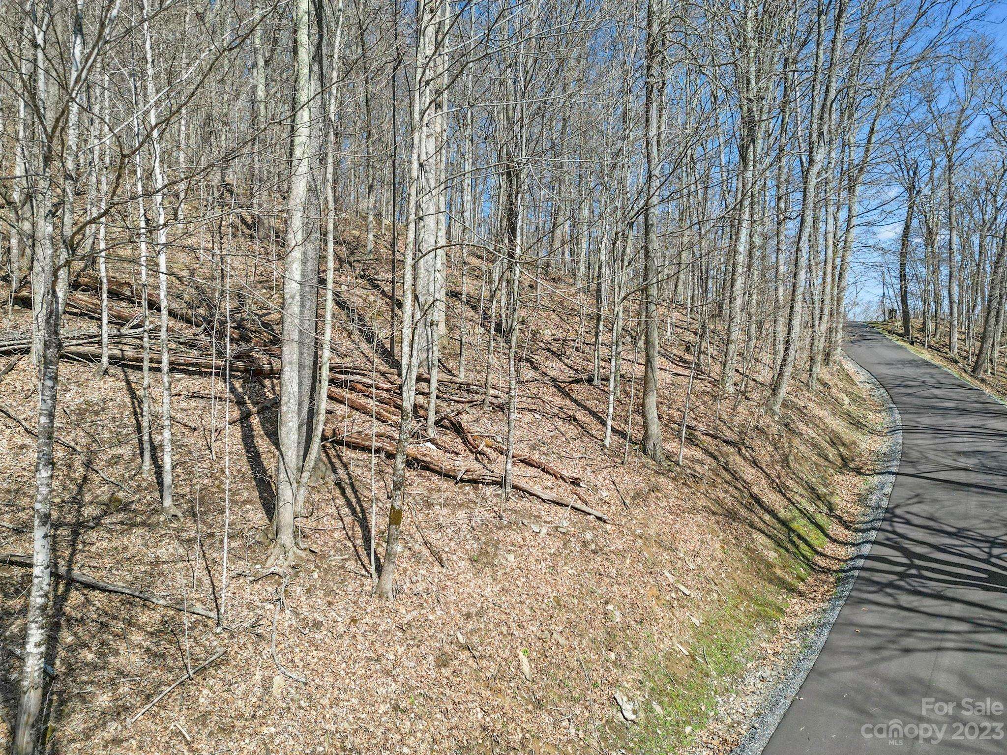 18 Chestnut Village LN ##18, Mars Hill, NC 28754