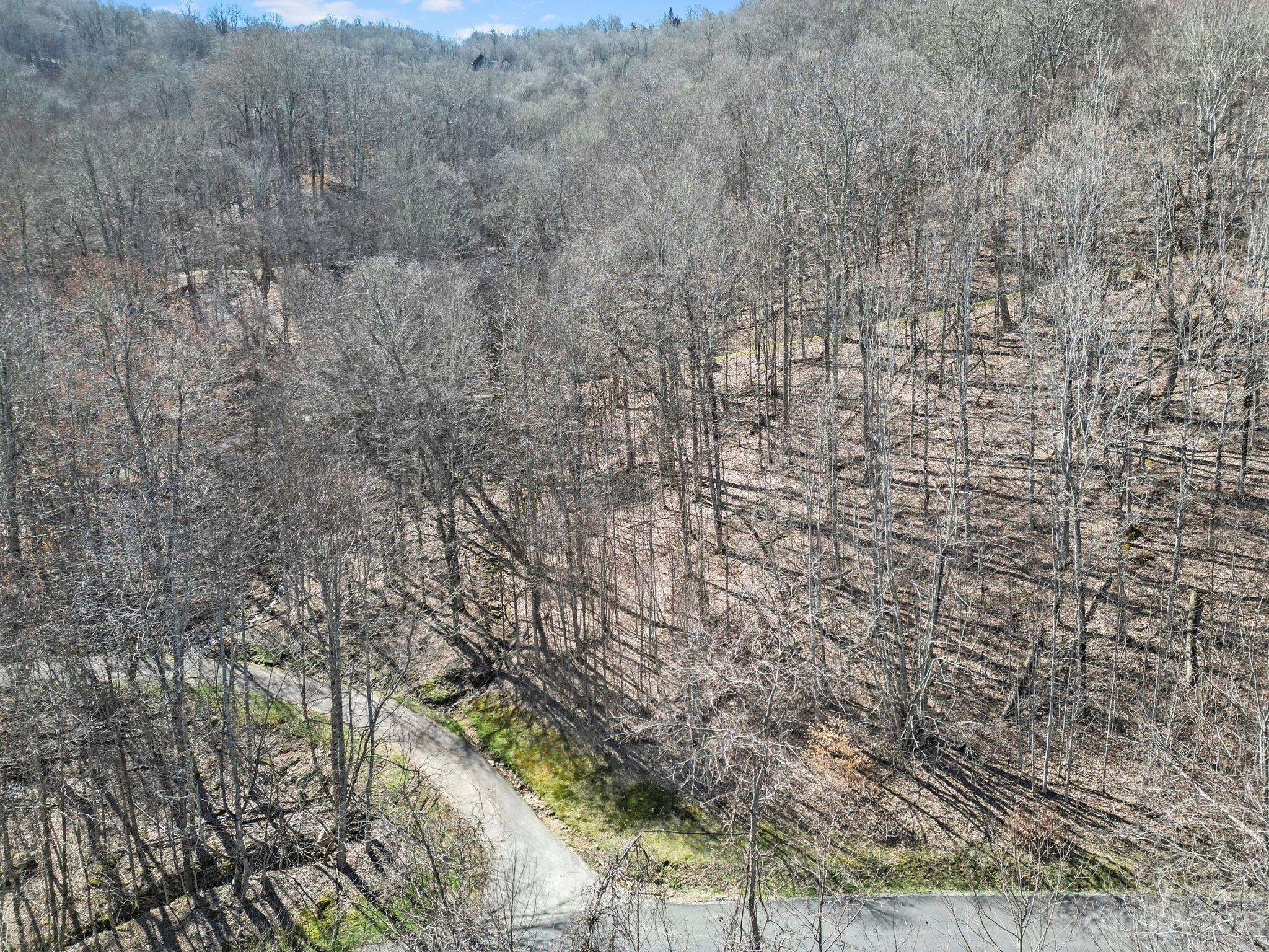 18 Chestnut Village LN ##18, Mars Hill, NC 28754