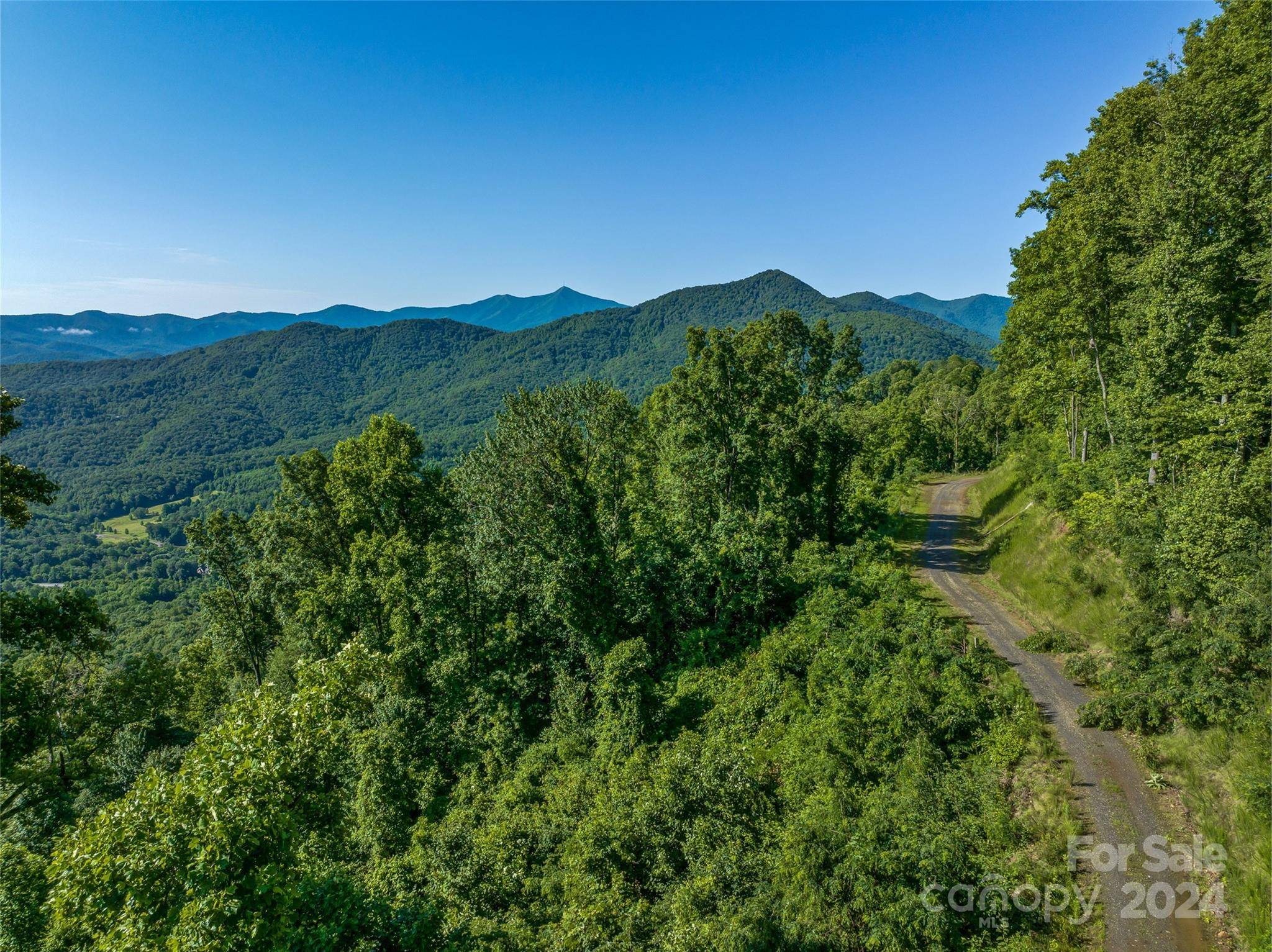 9999-28 Lovebird LN #28, Canton, NC 28716