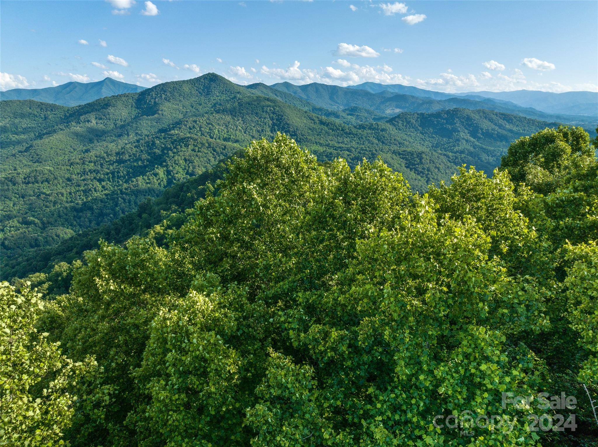 9999-28 Lovebird LN #28, Canton, NC 28716