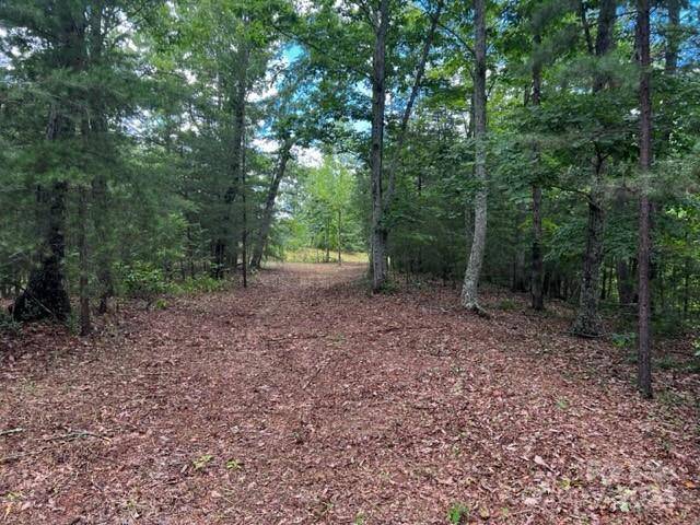 46 N Park LN, Mill Spring, NC 28756