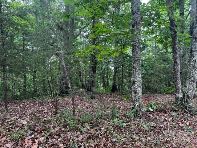 46 N Park LN, Mill Spring, NC 28756