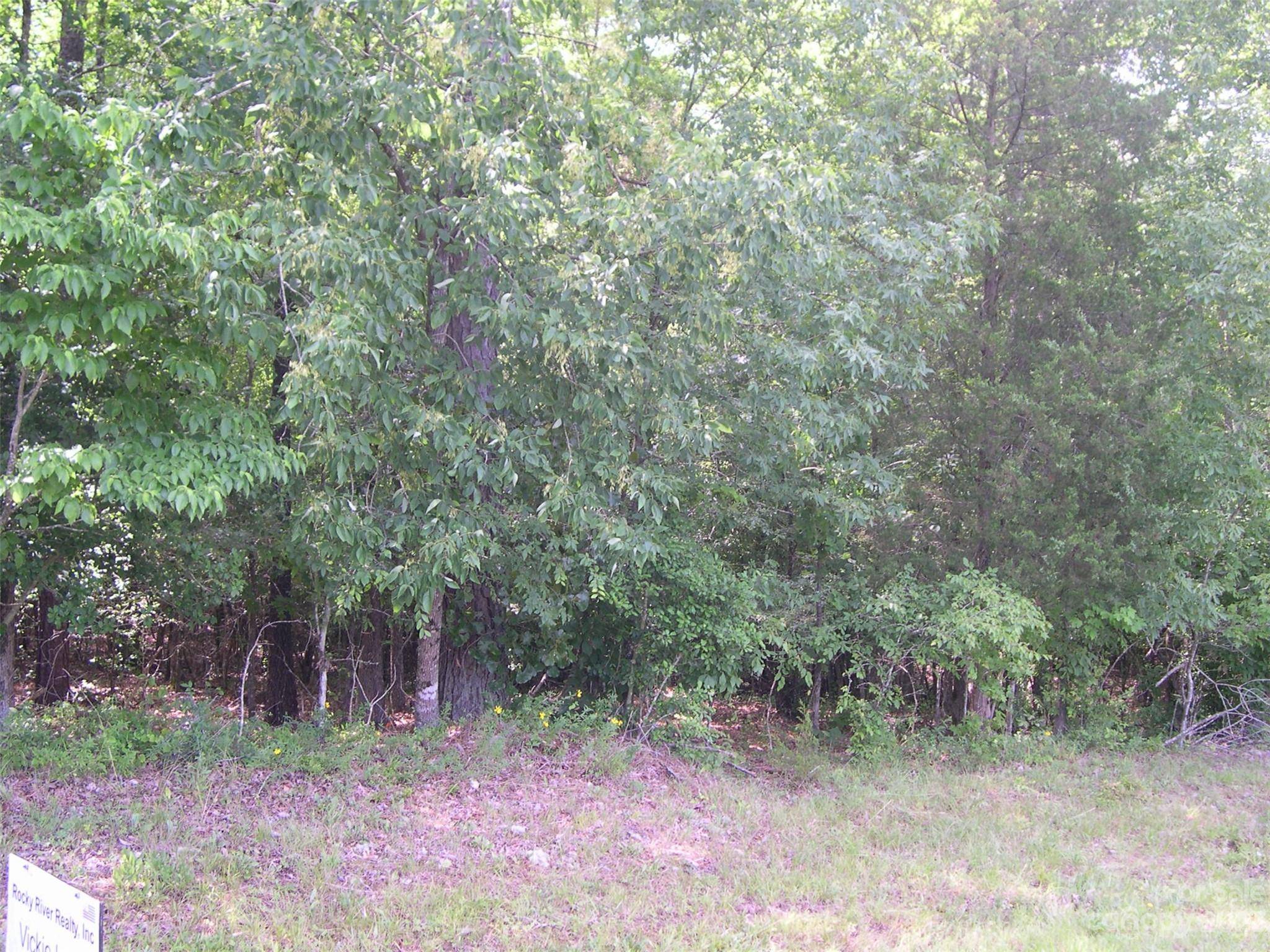 0000 Pekin RD #2, Candor, NC 27229