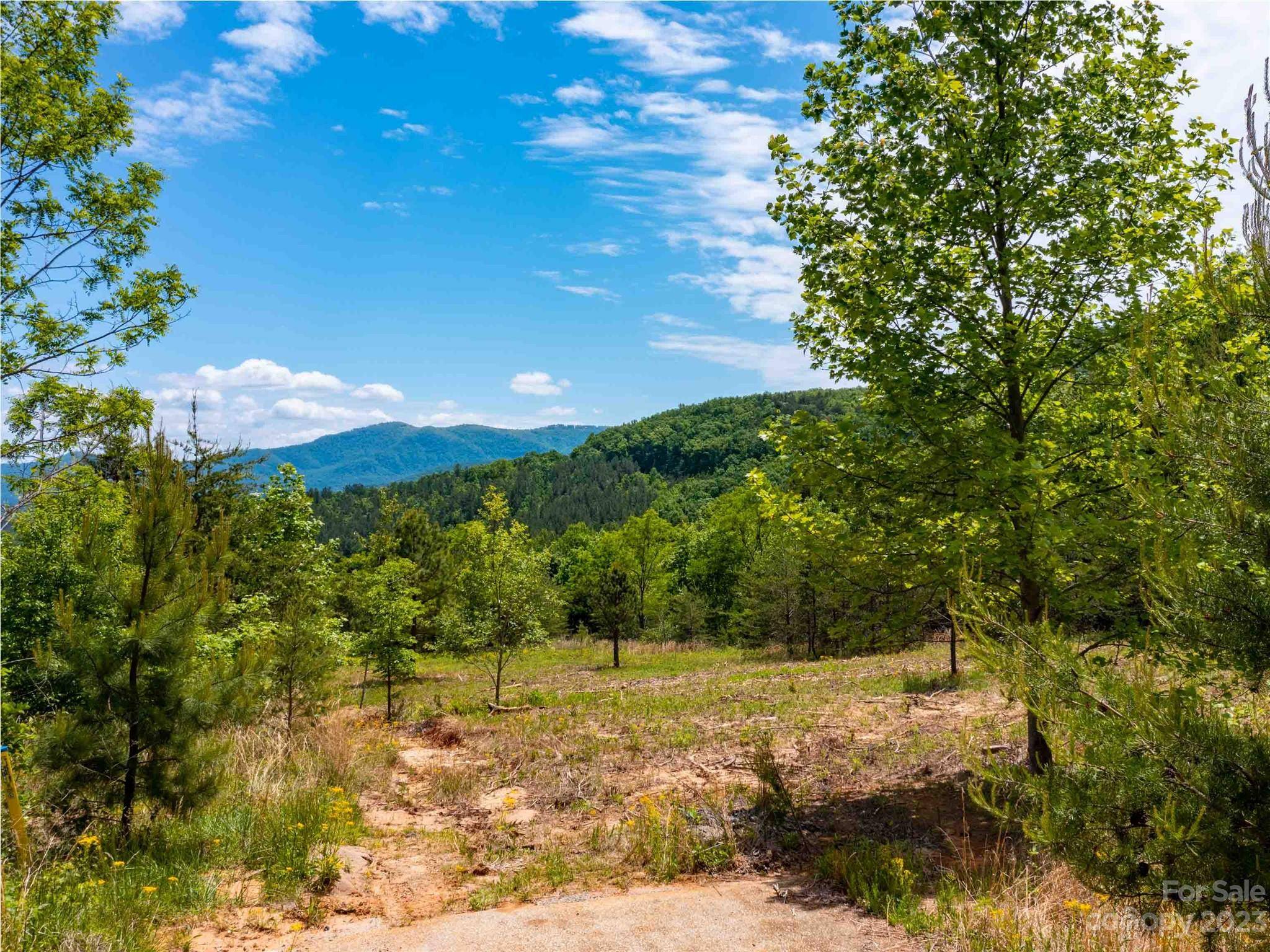 LOT 185 Harris CT, Mill Spring, NC 28756