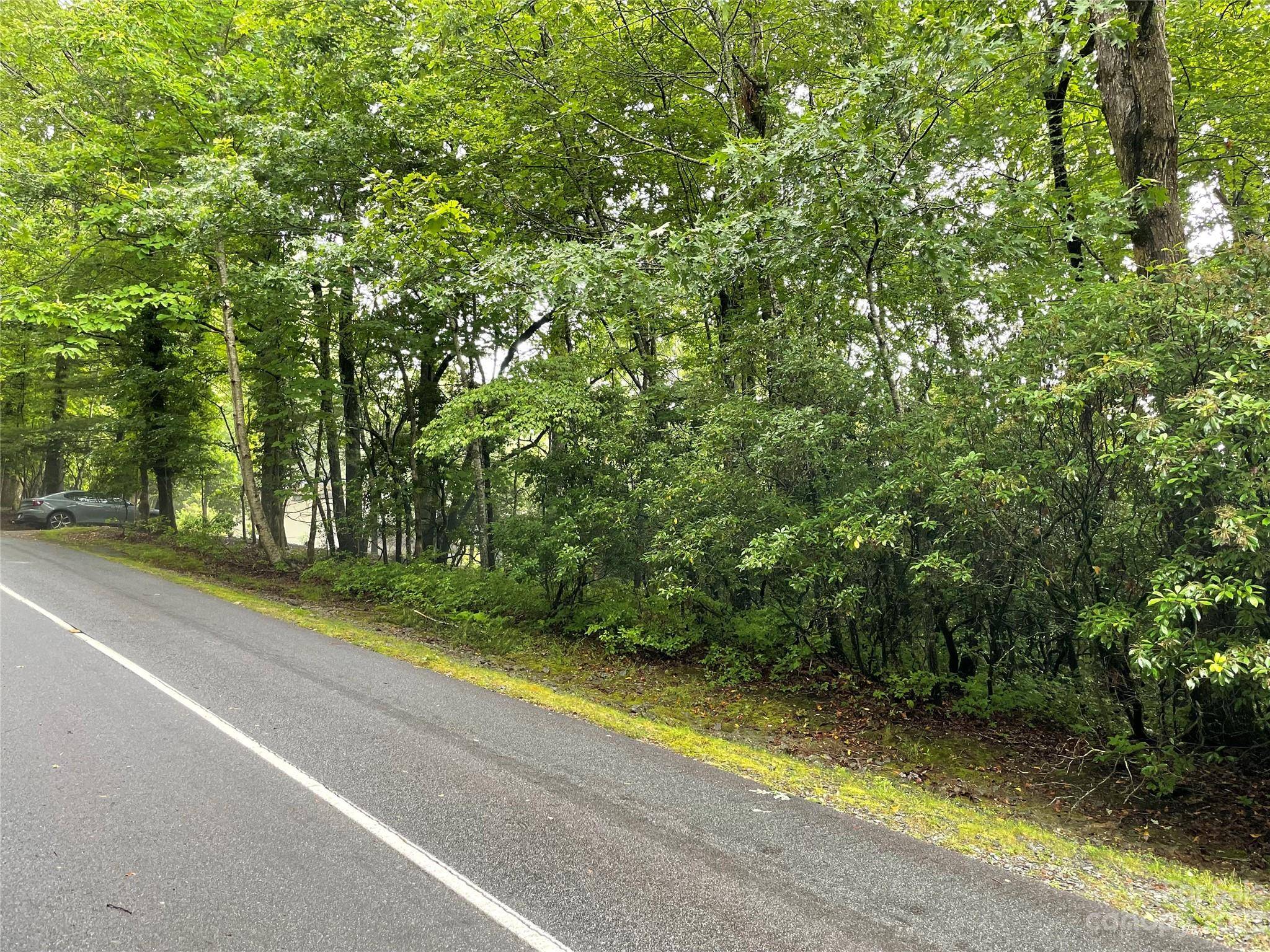 TBD Tellico TRL #116/01, Brevard, NC 28712