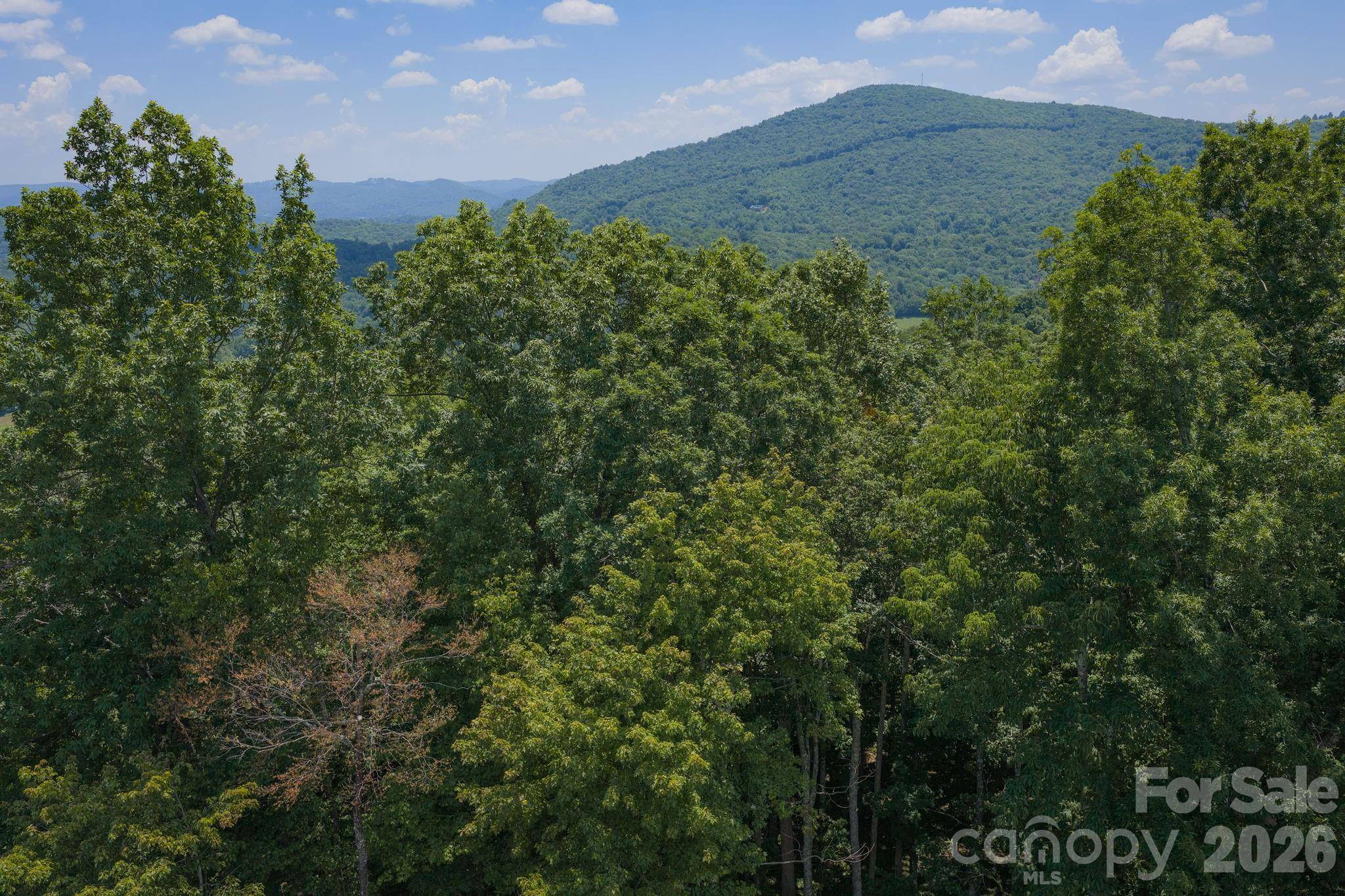 Lot 64 Poplar Forest DR, Boone, NC 28607