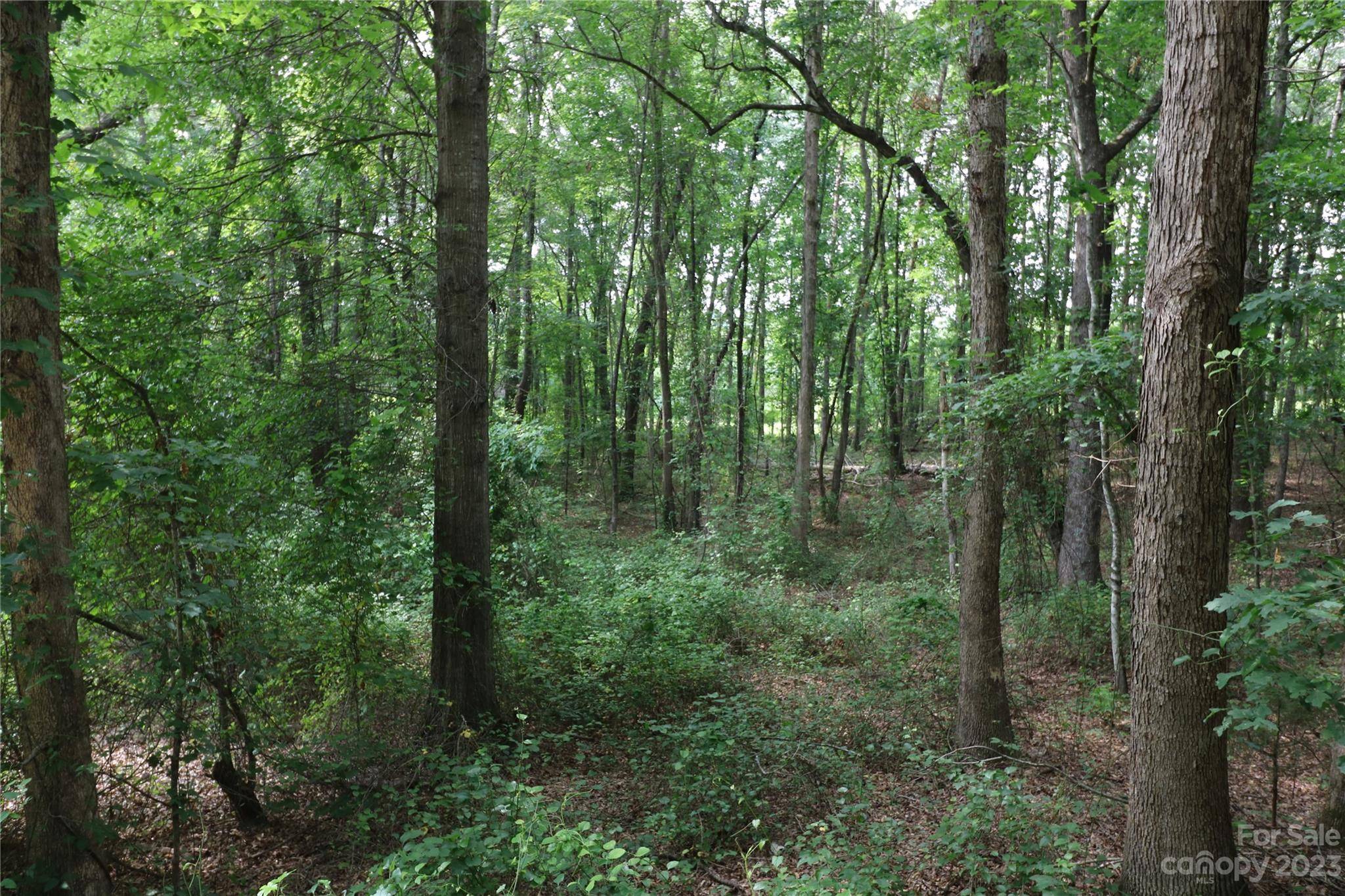 Lot 20 Commercial DR, Forest City, NC 28043