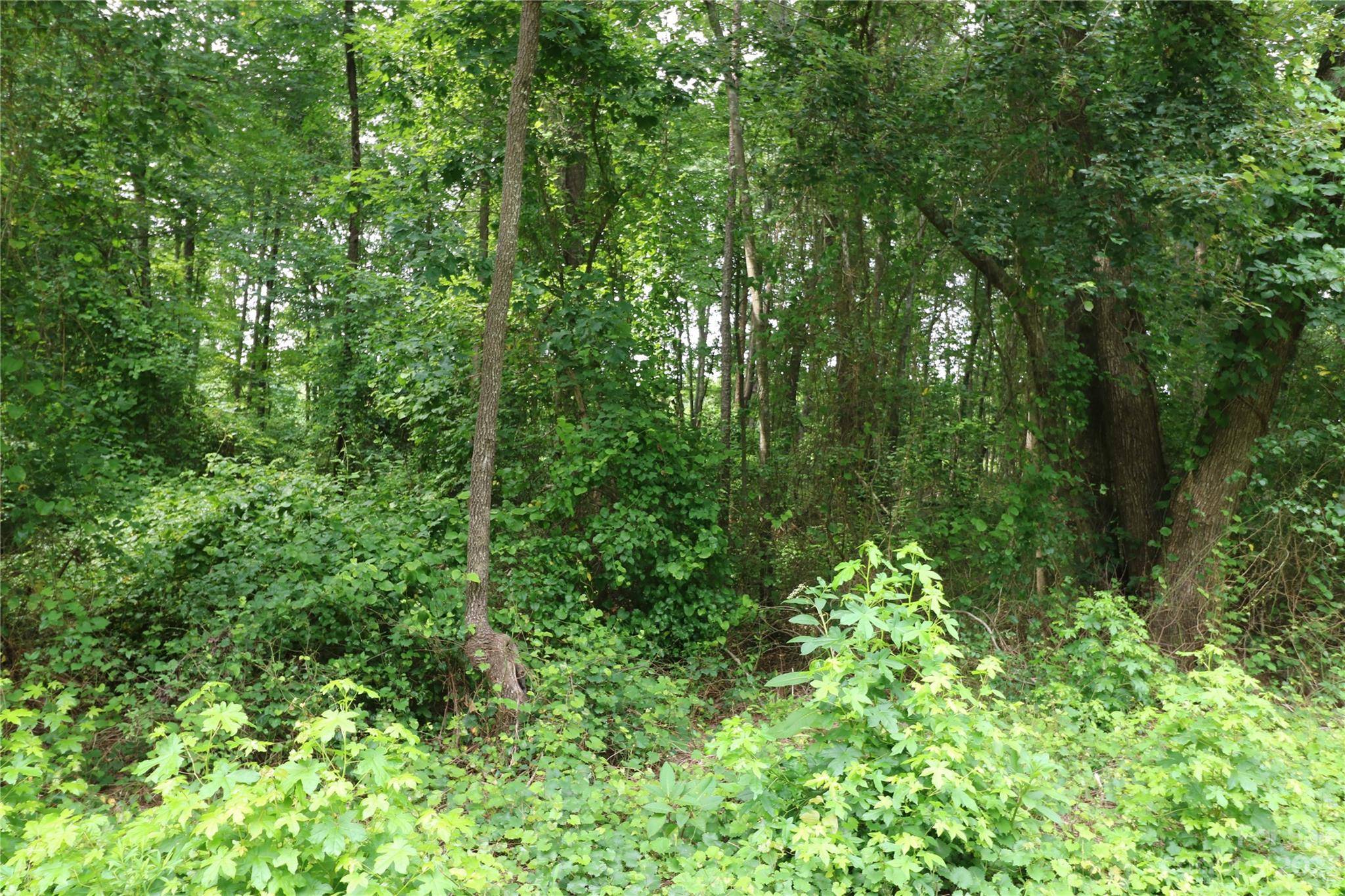 Lot 20 Commercial DR, Forest City, NC 28043