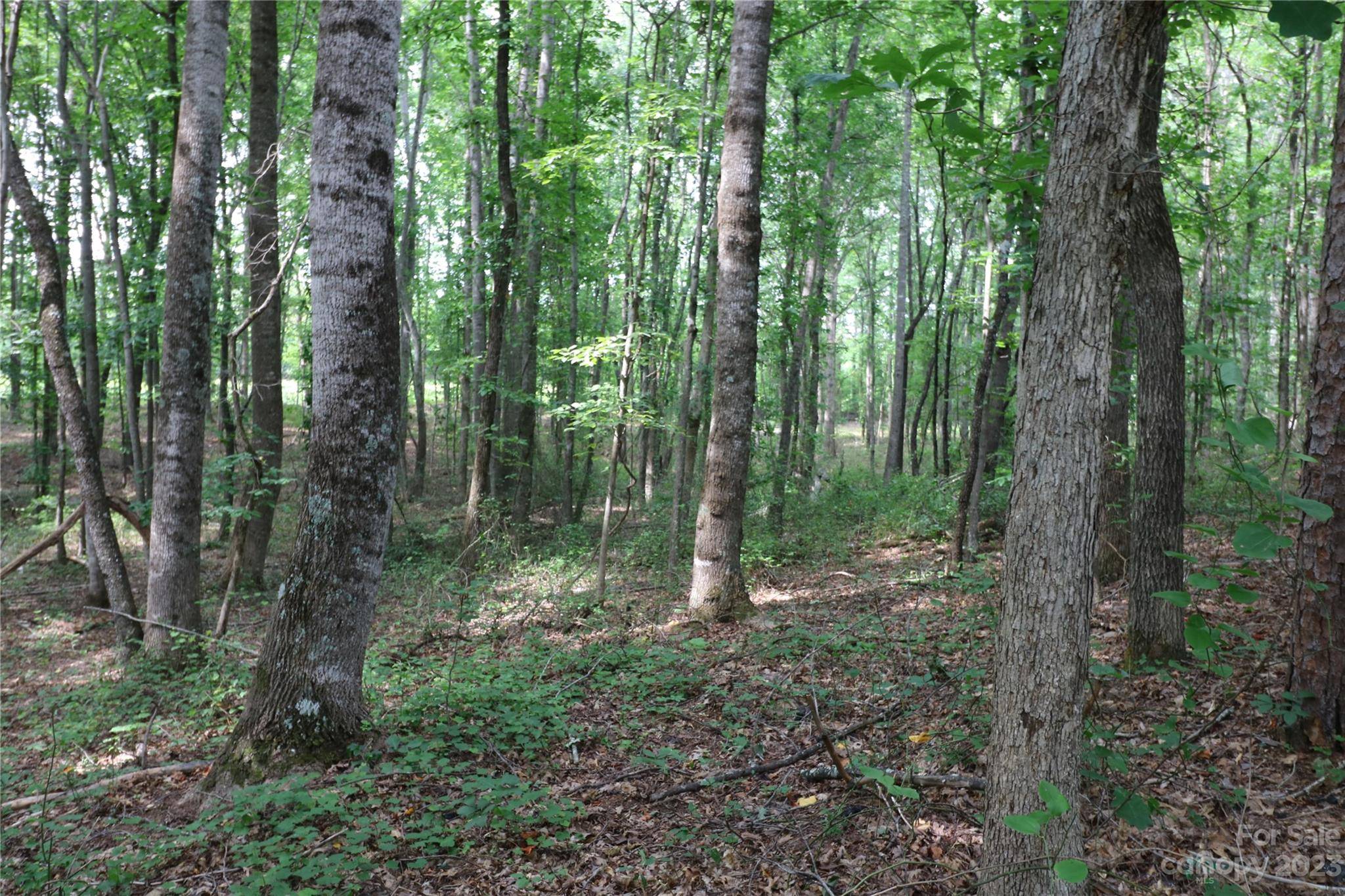 Lot 21 Commercial DR, Forest City, NC 28043