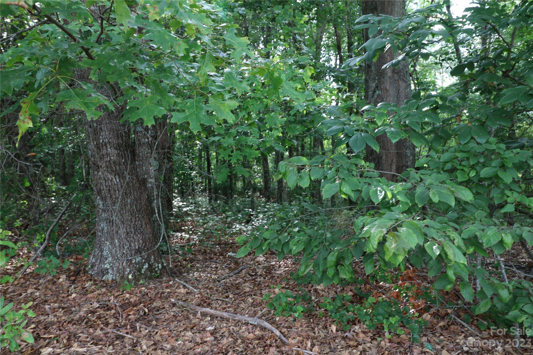 Lot 23 Commercial DR, Forest City, NC 28043