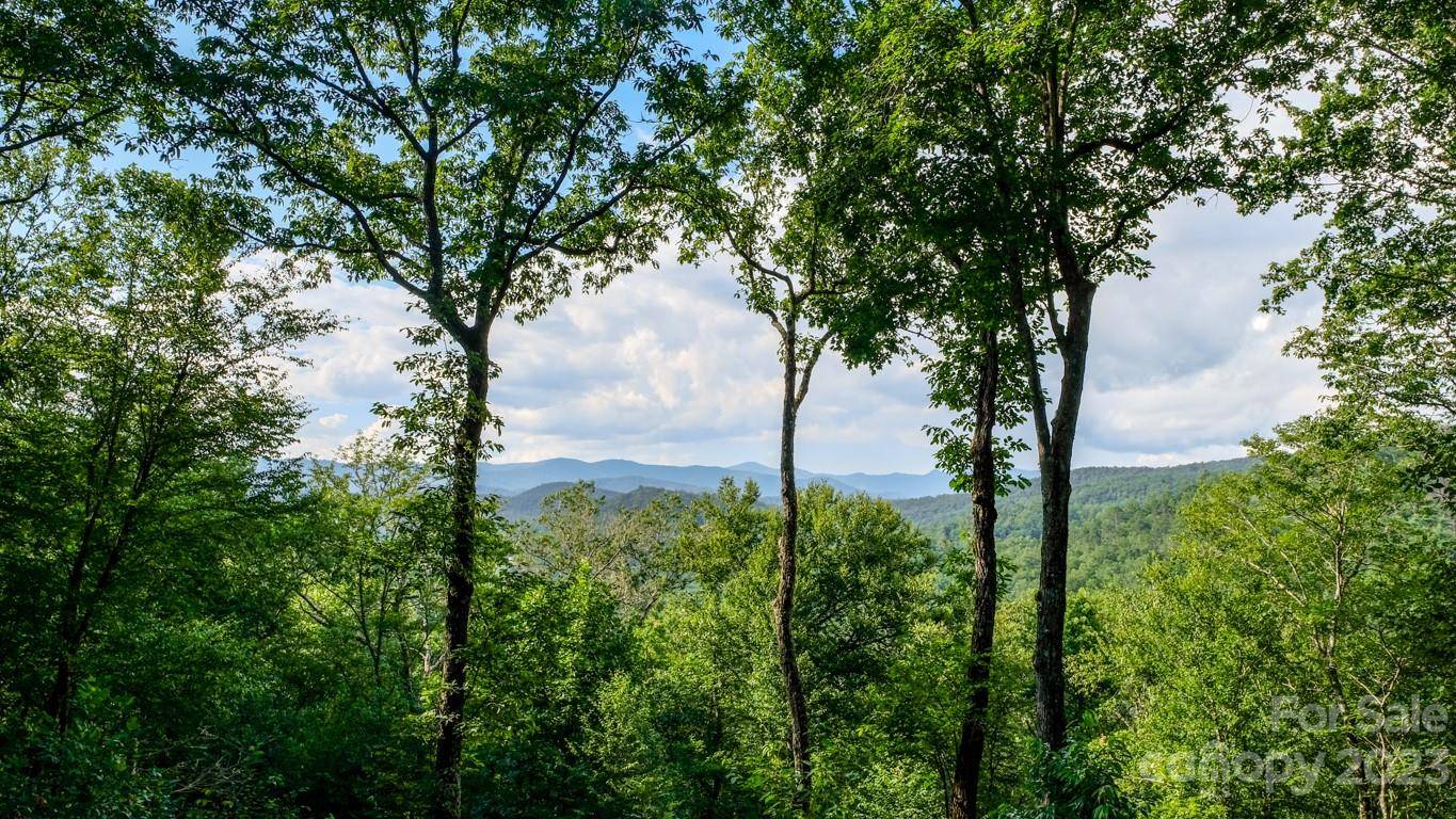 427 Quarry RD #22, Lake Toxaway, NC 28747