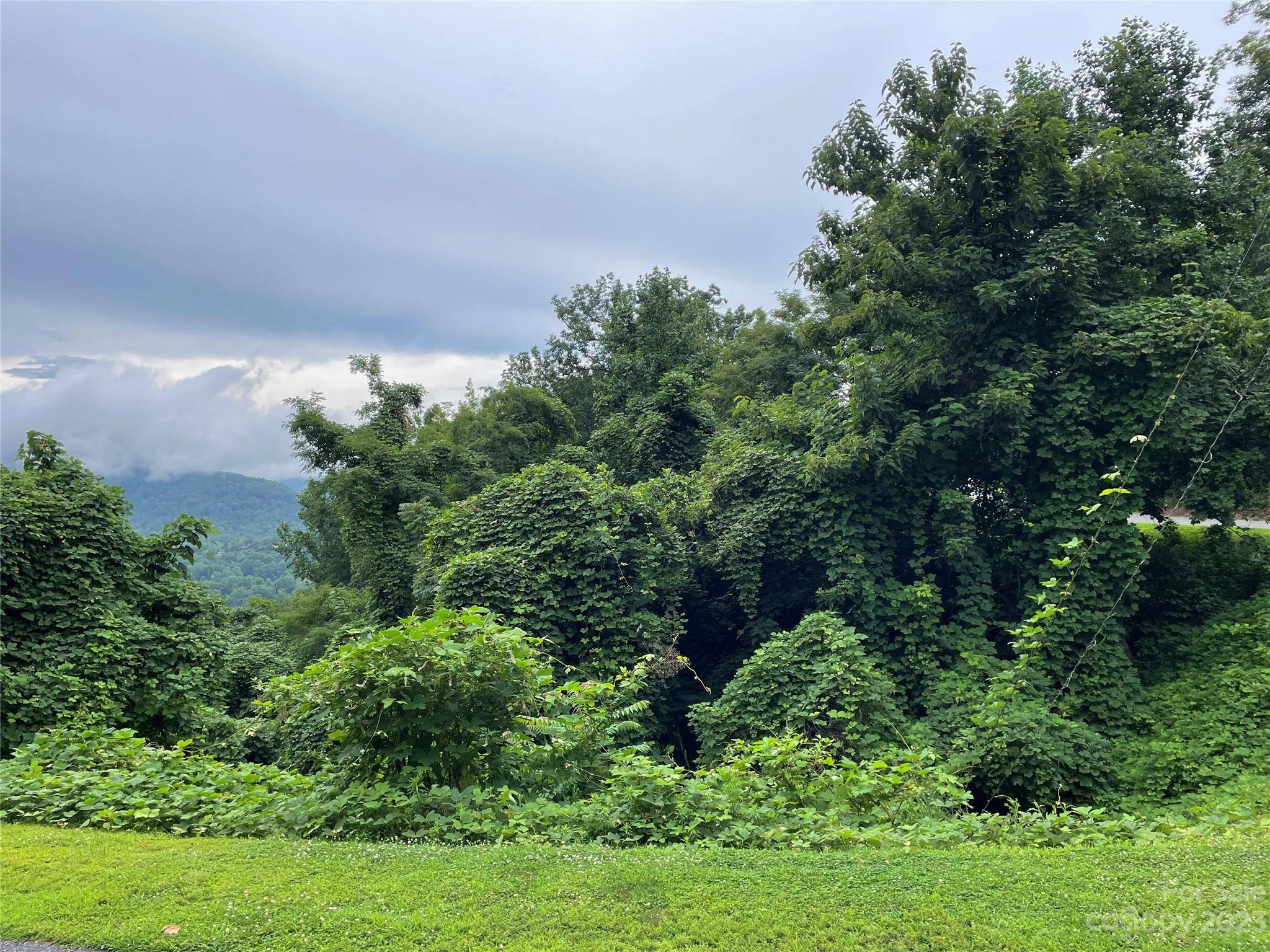 0 Clear Creek TRL #31, Lake Lure, NC 28746