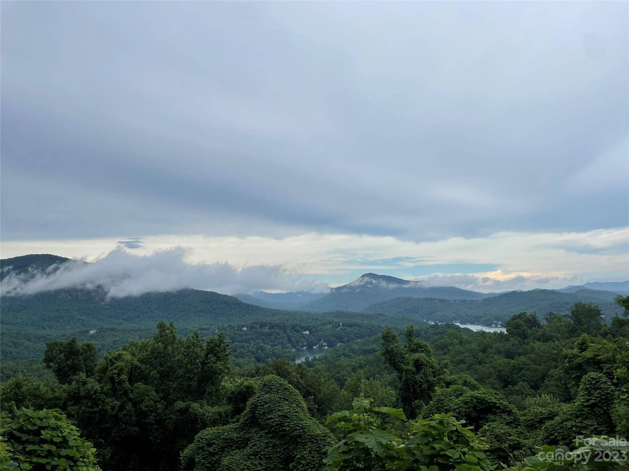 0 Clear Creek TRL #31, Lake Lure, NC 28746