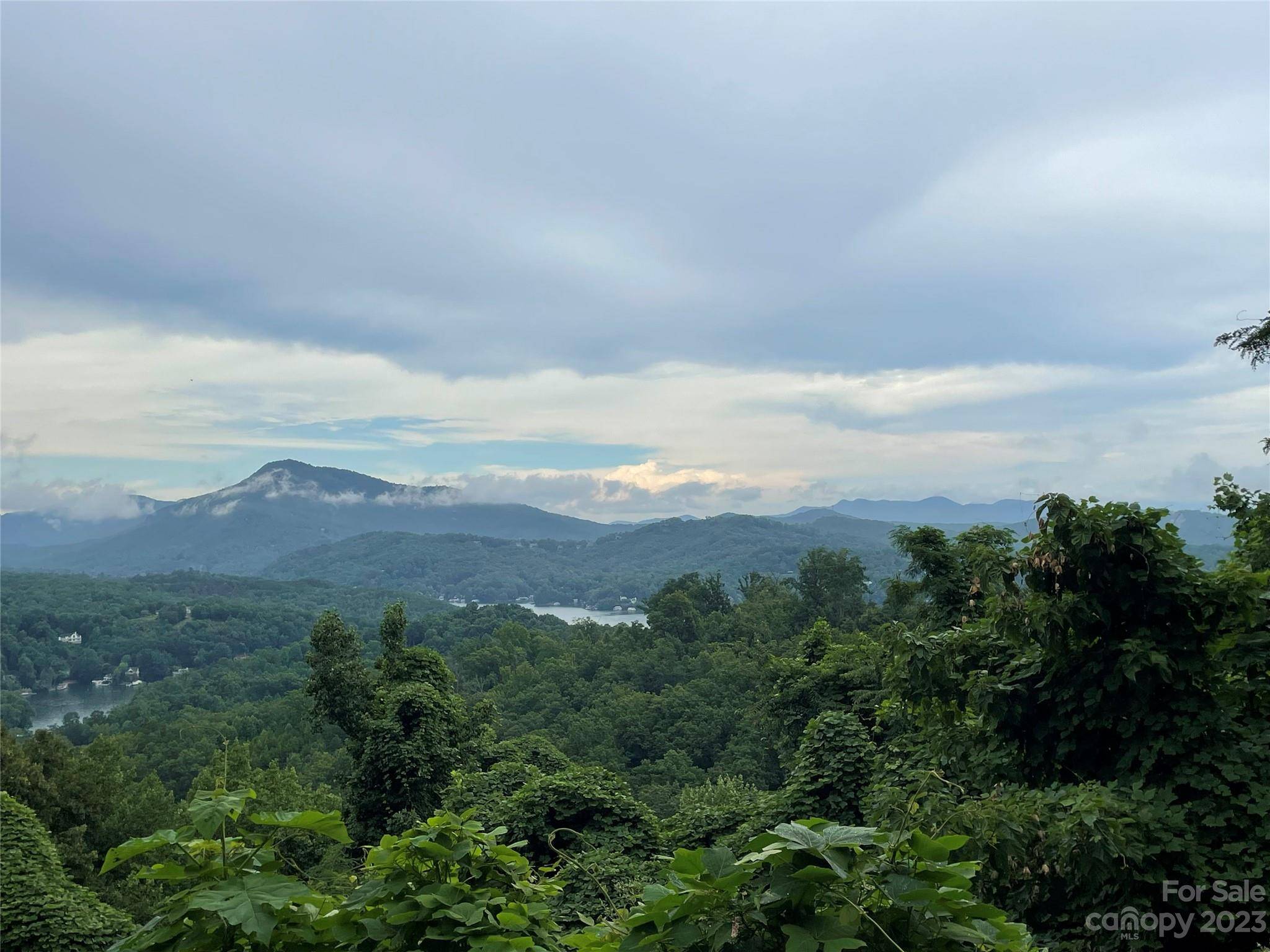0 Clear Creek TRL #31, Lake Lure, NC 28746