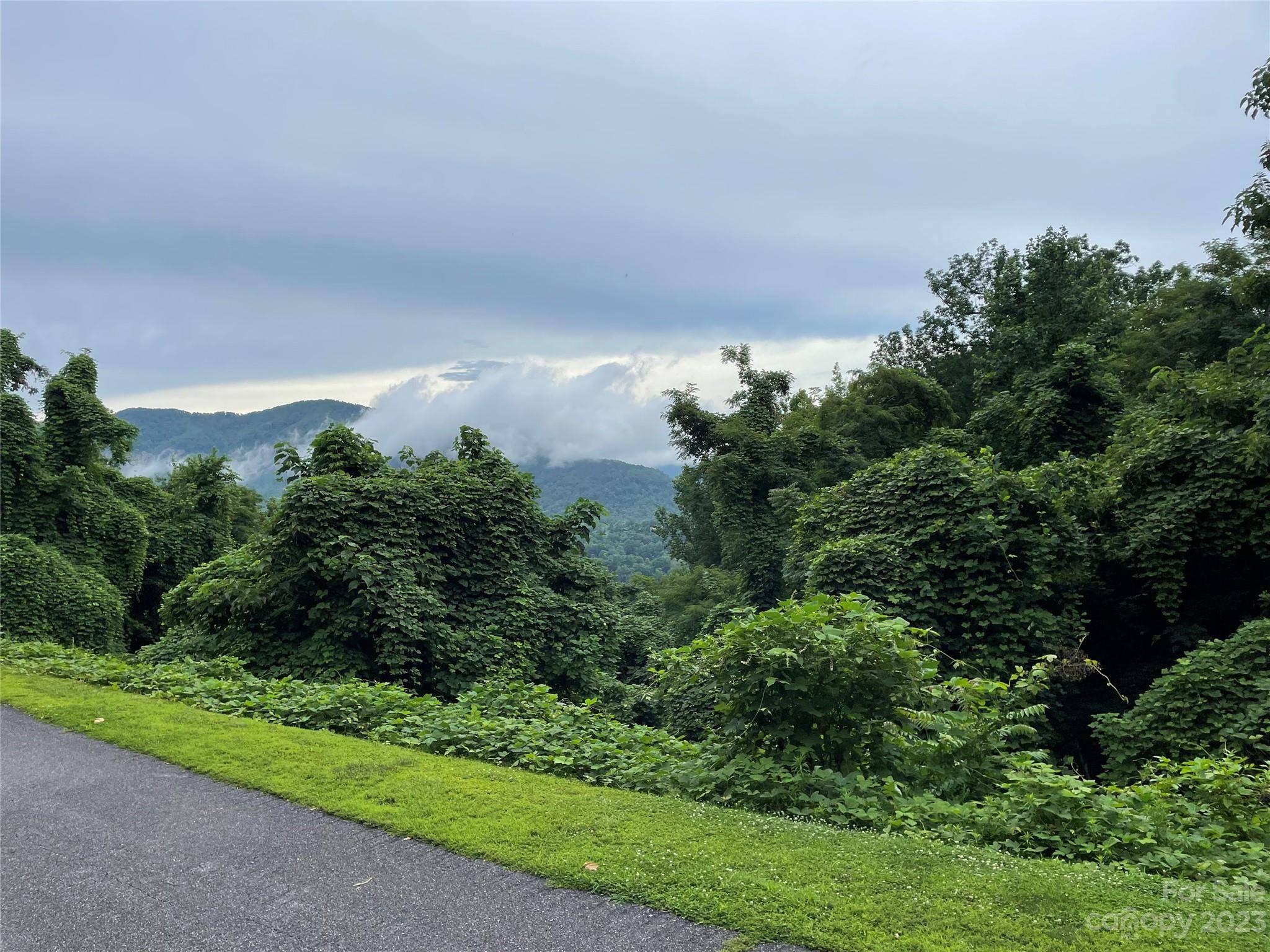 0 Clear Creek TRL #31, Lake Lure, NC 28746