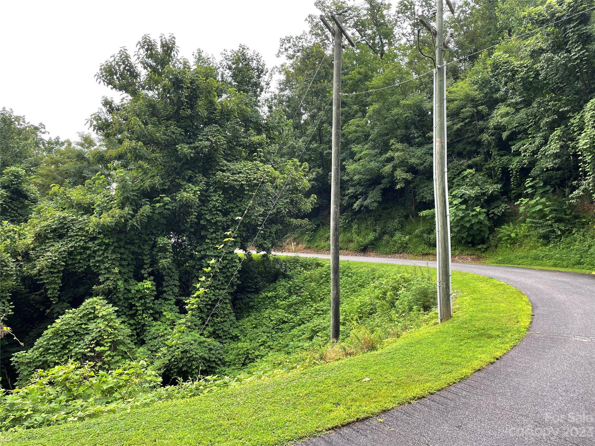0 Clear Creek TRL #31, Lake Lure, NC 28746