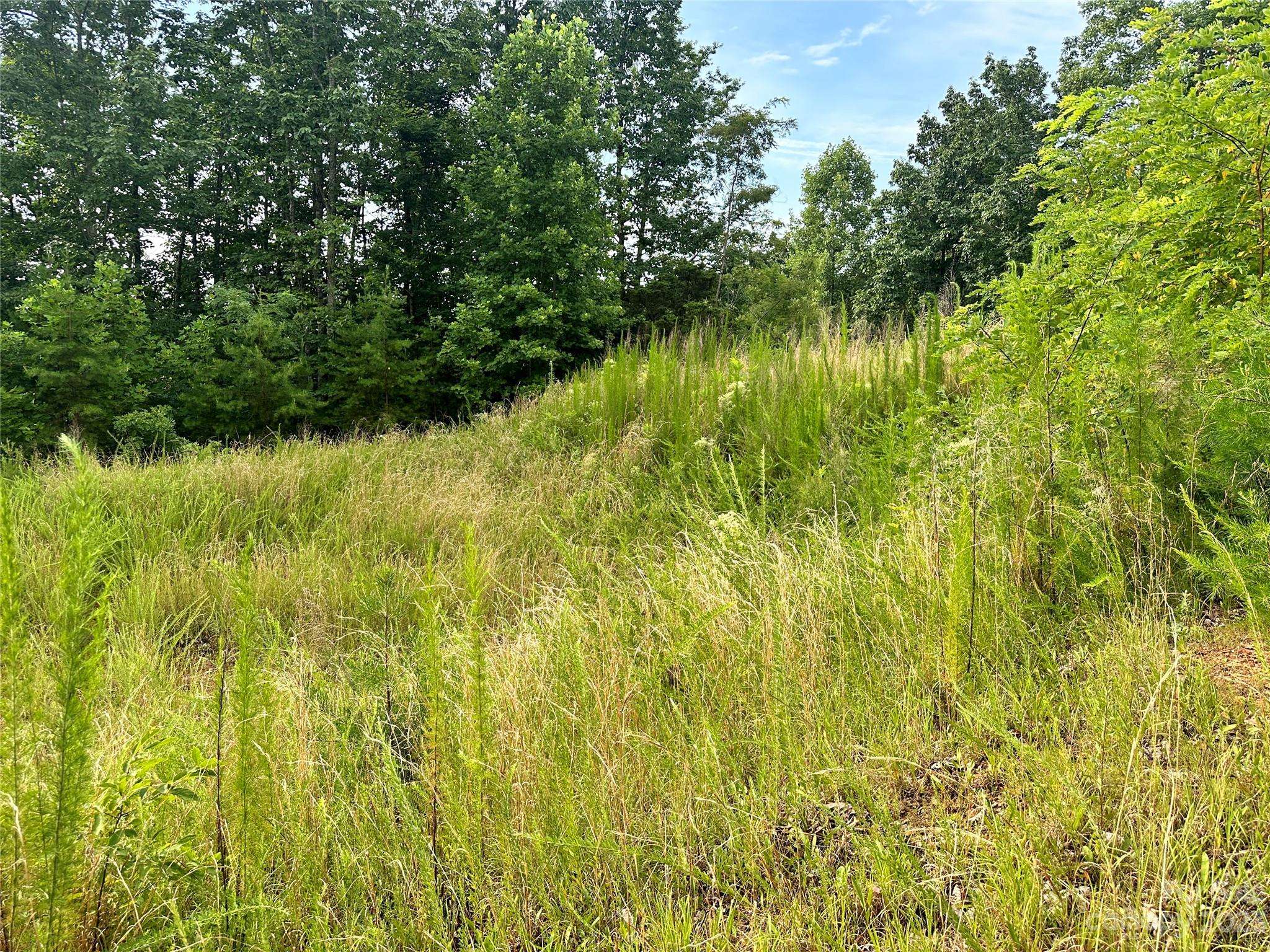 643 Woodgate DR #40, Bostic, NC 28018