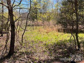 0000 Elliot LN ##45 & 48, Rutherfordton, NC 28139