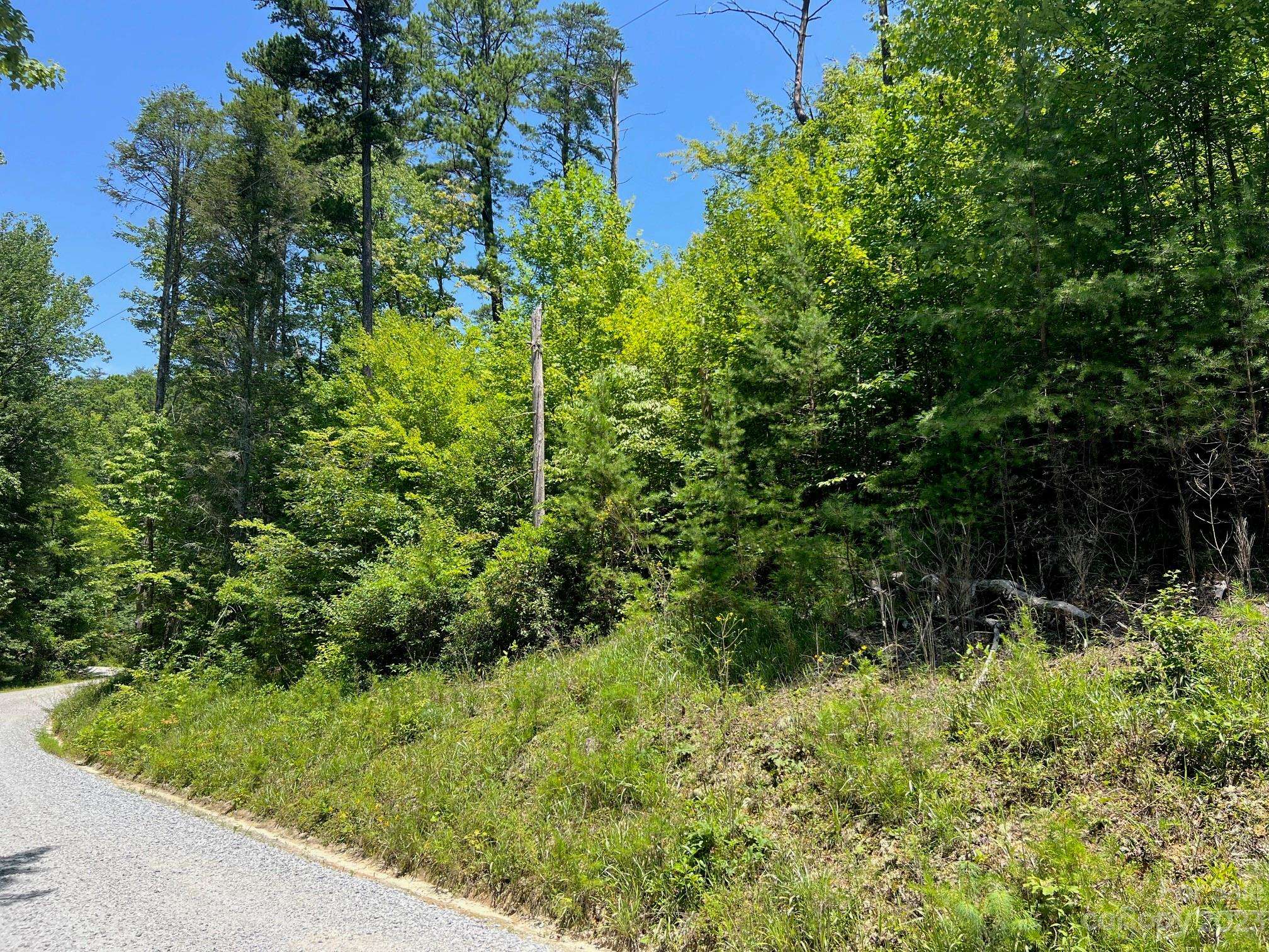 lot 24 Round Mountain RD #24, Brevard, NC 28712