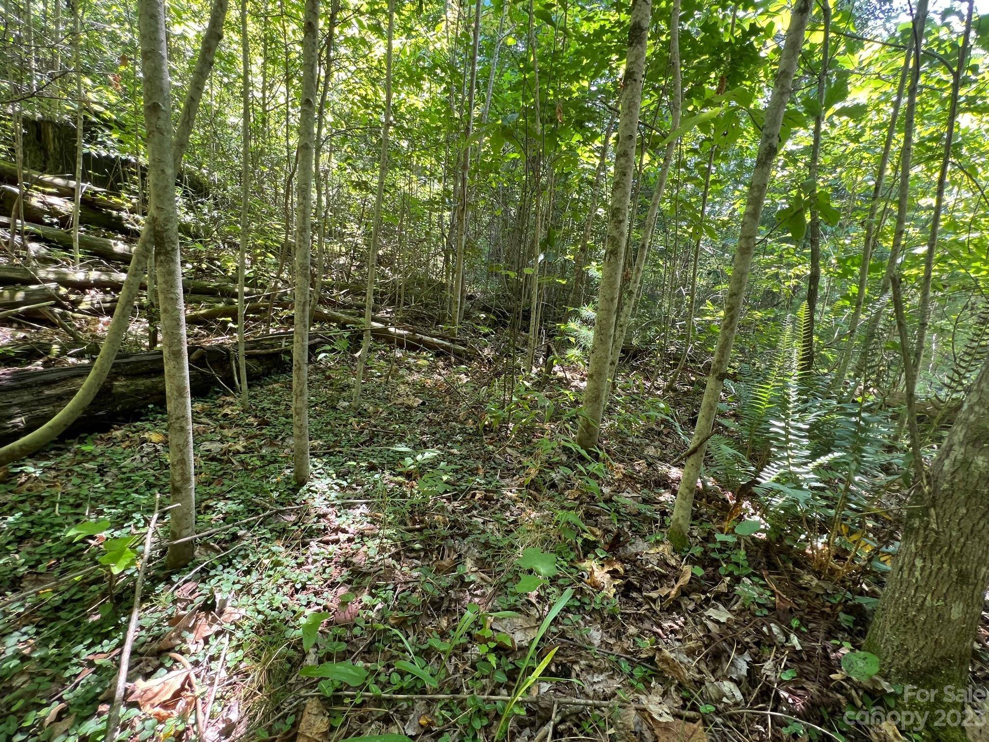 lot 24 Round Mountain RD #24, Brevard, NC 28712