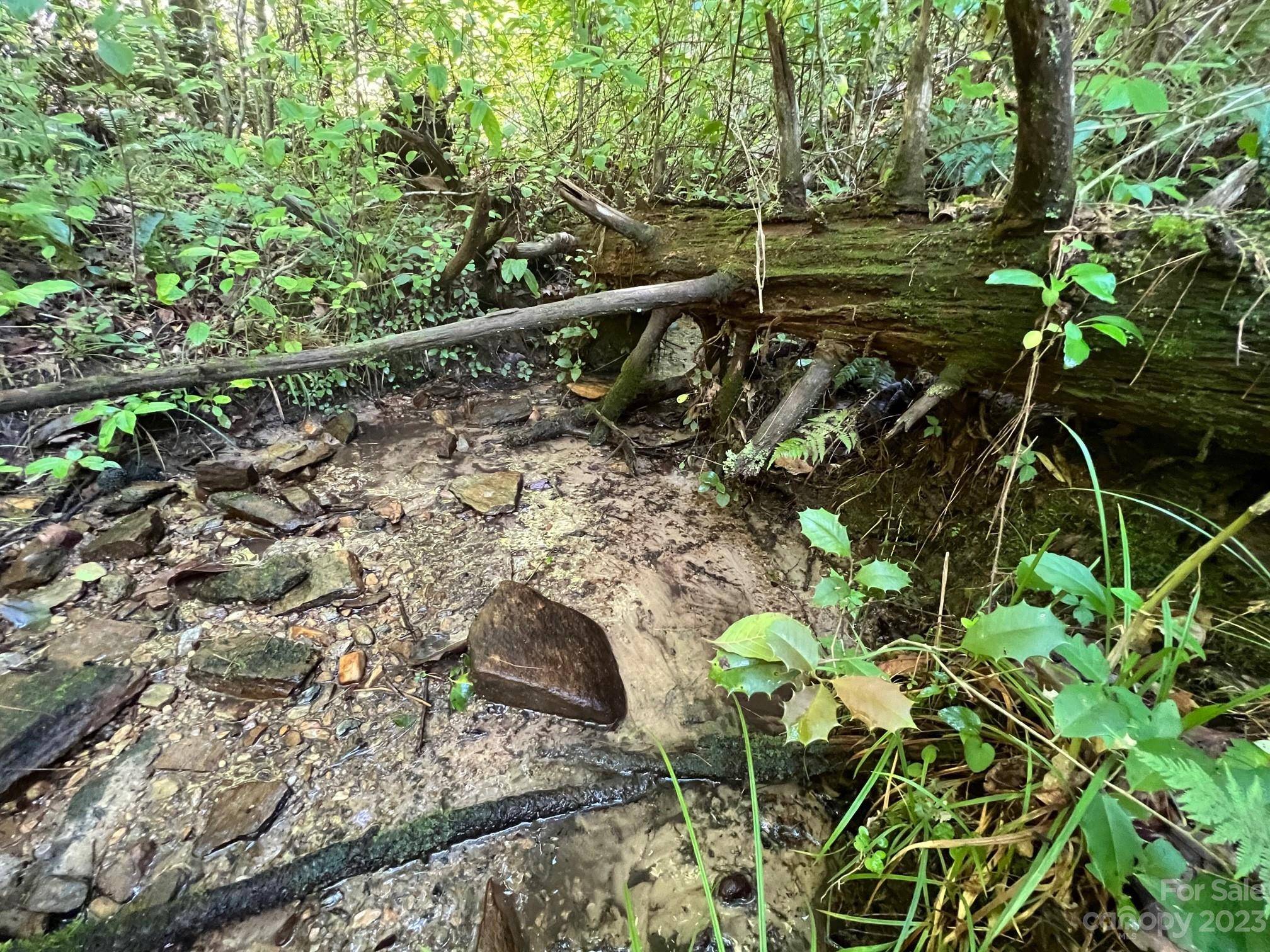 lot 24 Round Mountain RD #24, Brevard, NC 28712