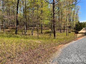 0000 Zackary LN #37, Rutherfordton, NC 28139
