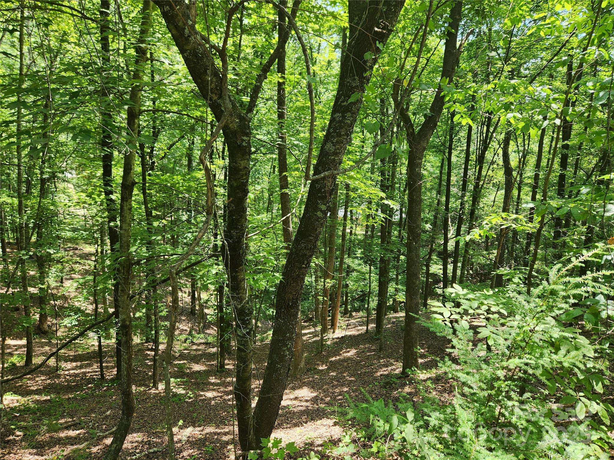 Lot 81, 82, & 88 Walnut LN, Lake Lure, NC 28746