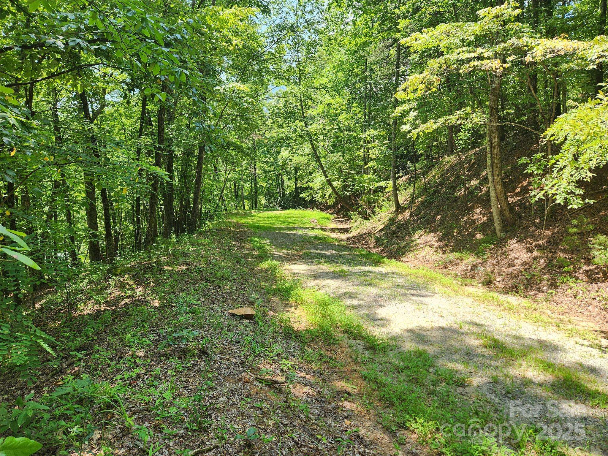 Lot 81, 82, & 88 Walnut LN, Lake Lure, NC 28746