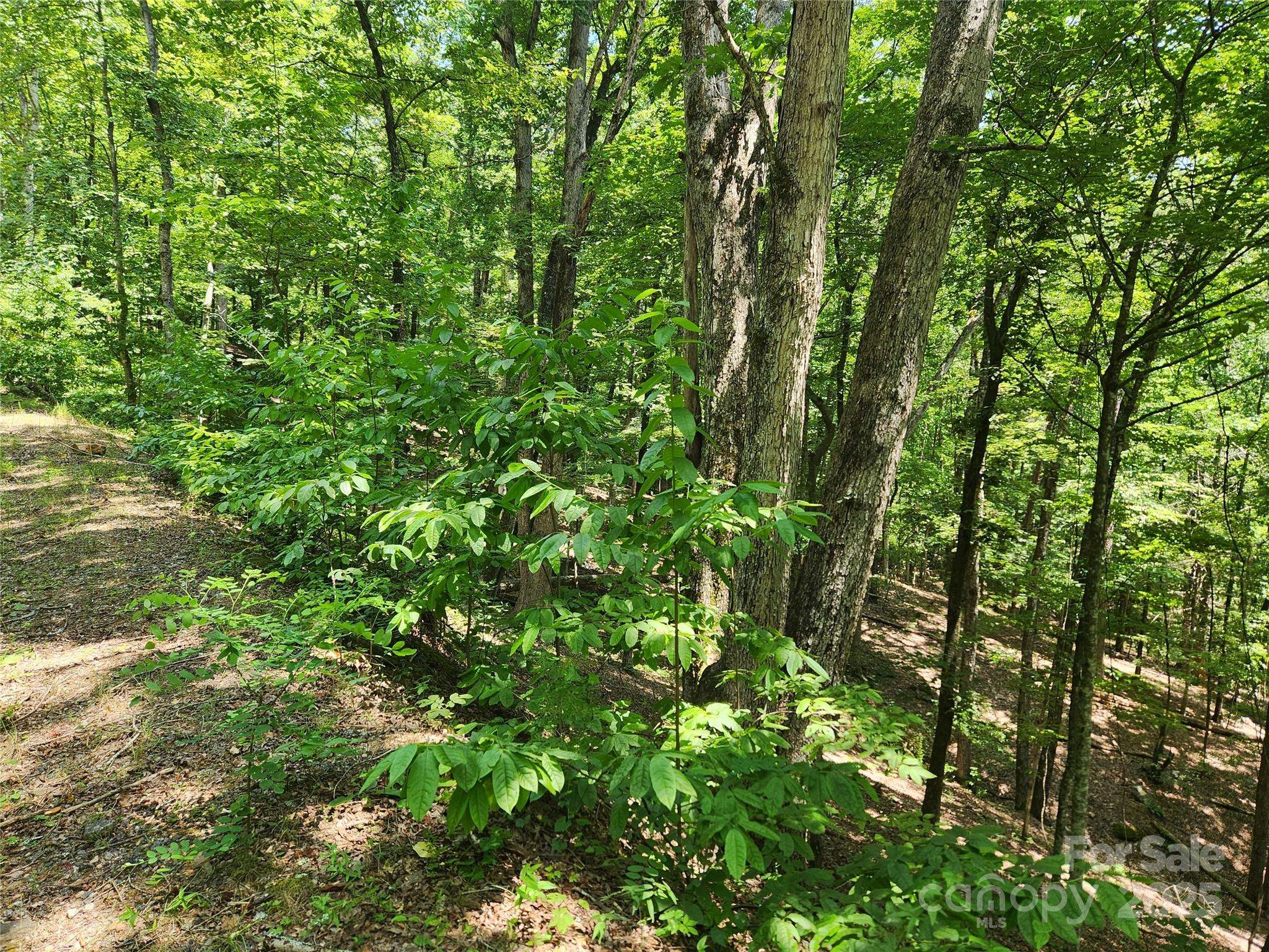 Lot 81, 82, & 88 Walnut LN, Lake Lure, NC 28746
