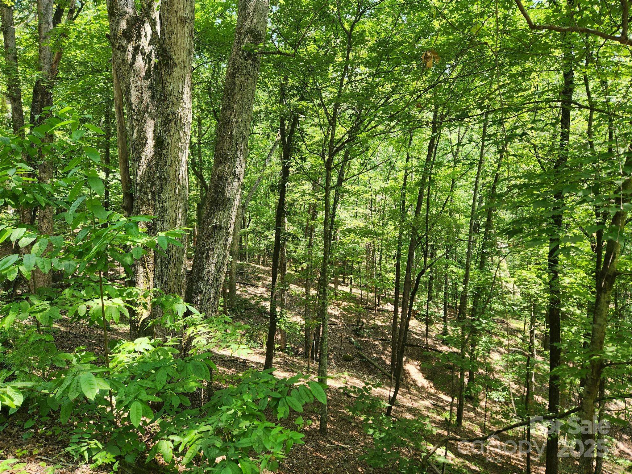 Lot 81, 82, & 88 Walnut LN, Lake Lure, NC 28746
