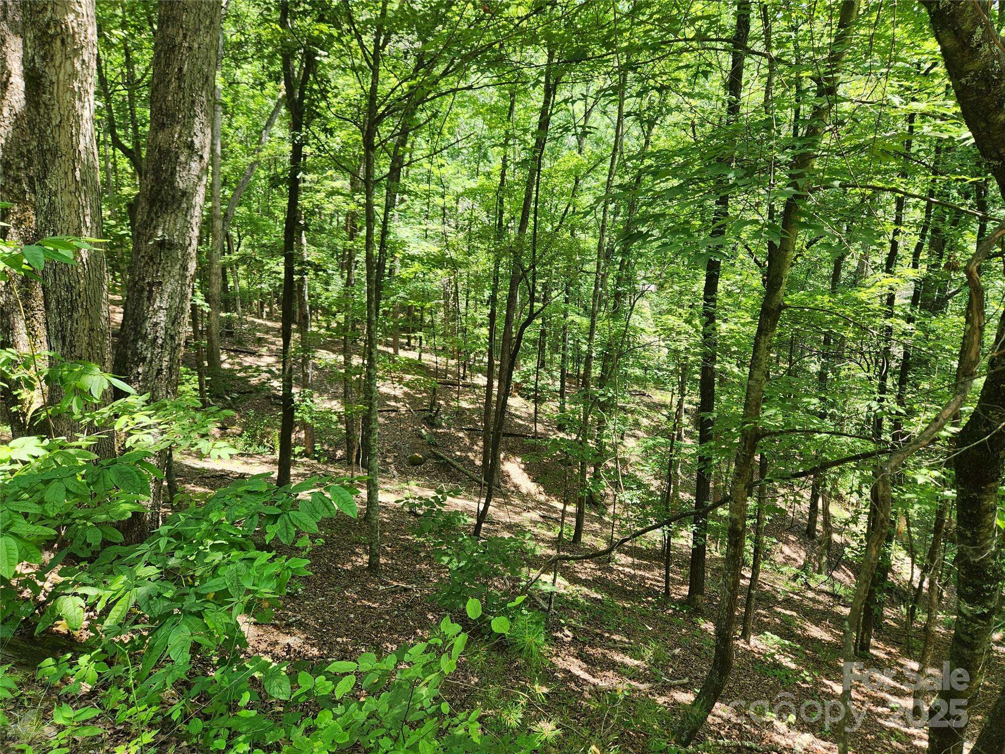 Lot 81, 82, & 88 Walnut LN, Lake Lure, NC 28746