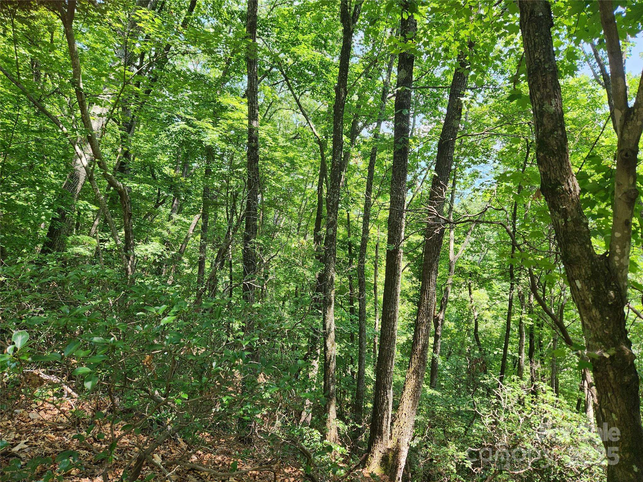 Lot 117, 118, & 132 Summit CT, Lake Lure, NC 28746