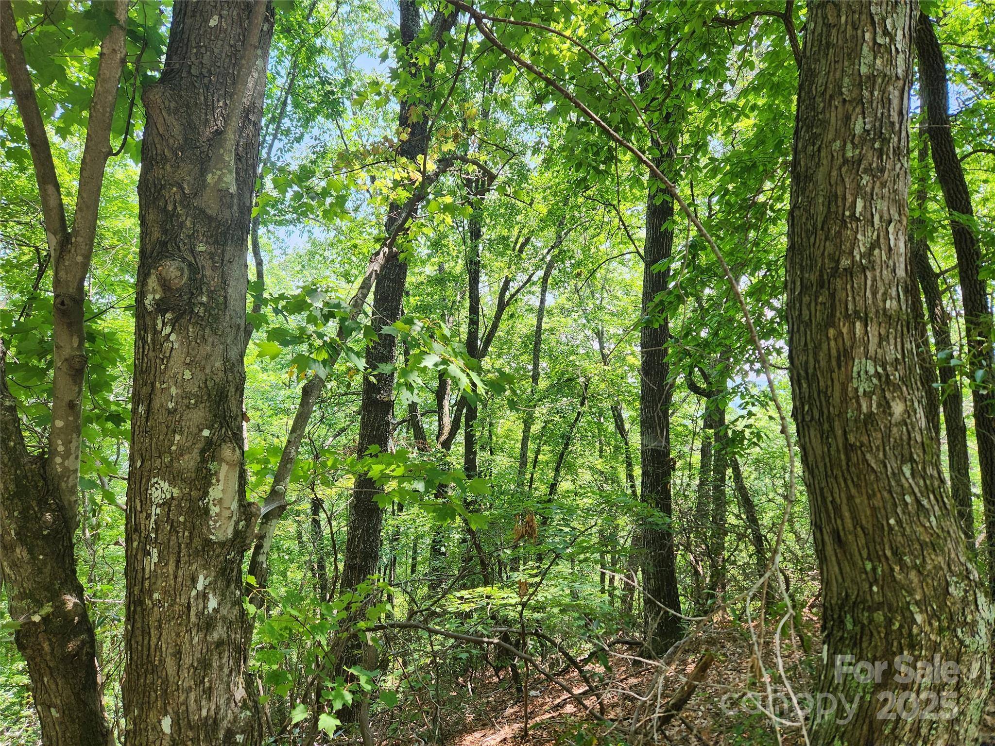 Lot 117, 118, & 132 Summit CT, Lake Lure, NC 28746