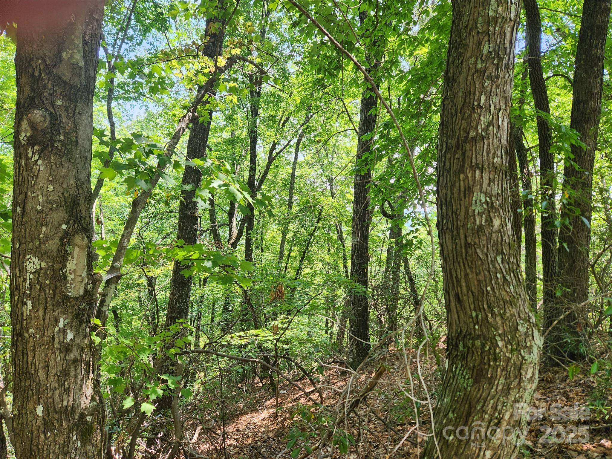 Lot 117, 118, & 132 Summit CT, Lake Lure, NC 28746