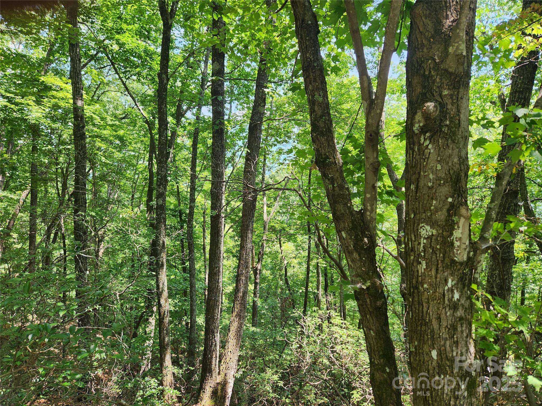 Lot 117, 118, & 132 Summit CT, Lake Lure, NC 28746