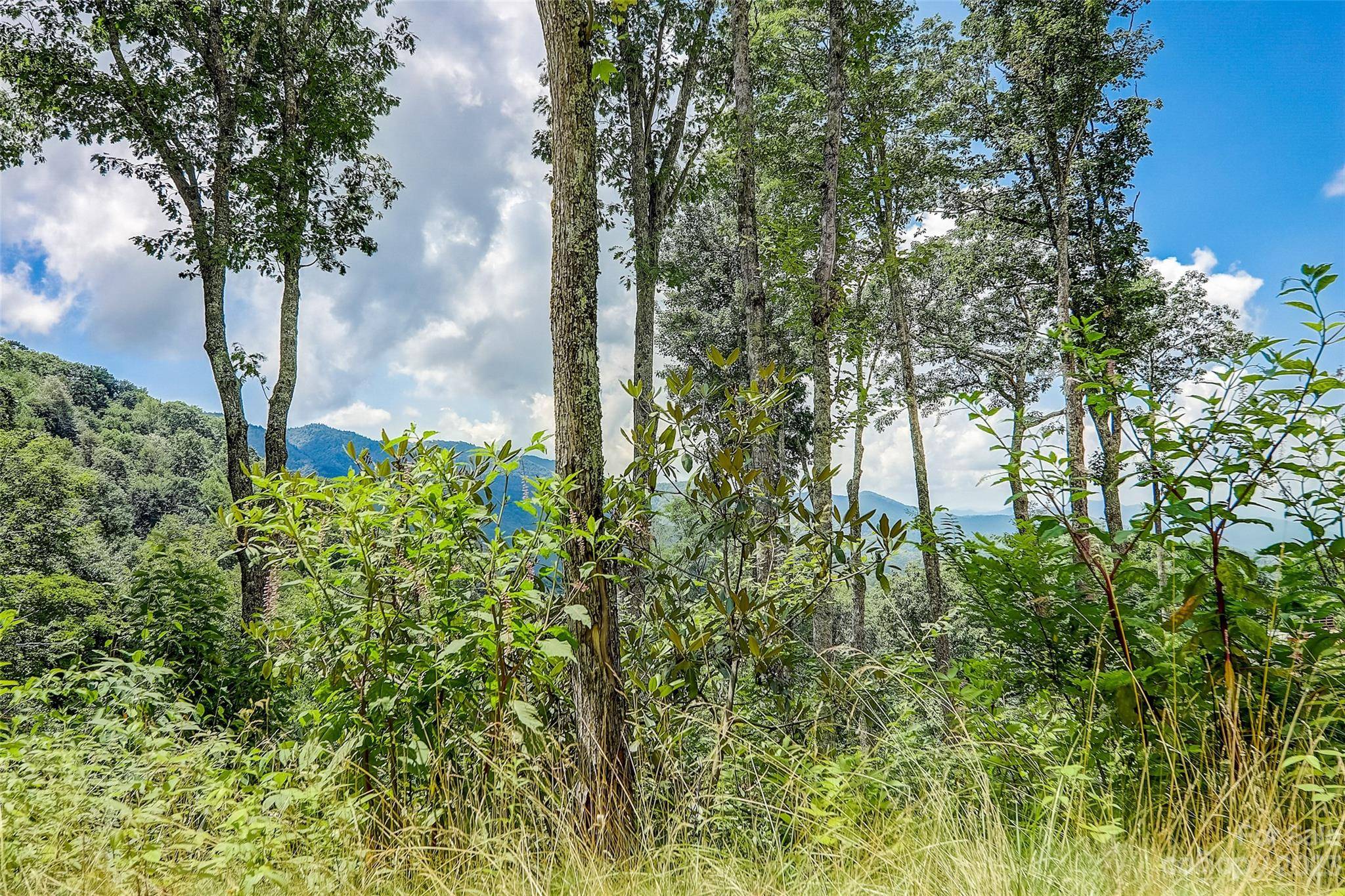 0 Centurian LN #26, Maggie Valley, NC 28751