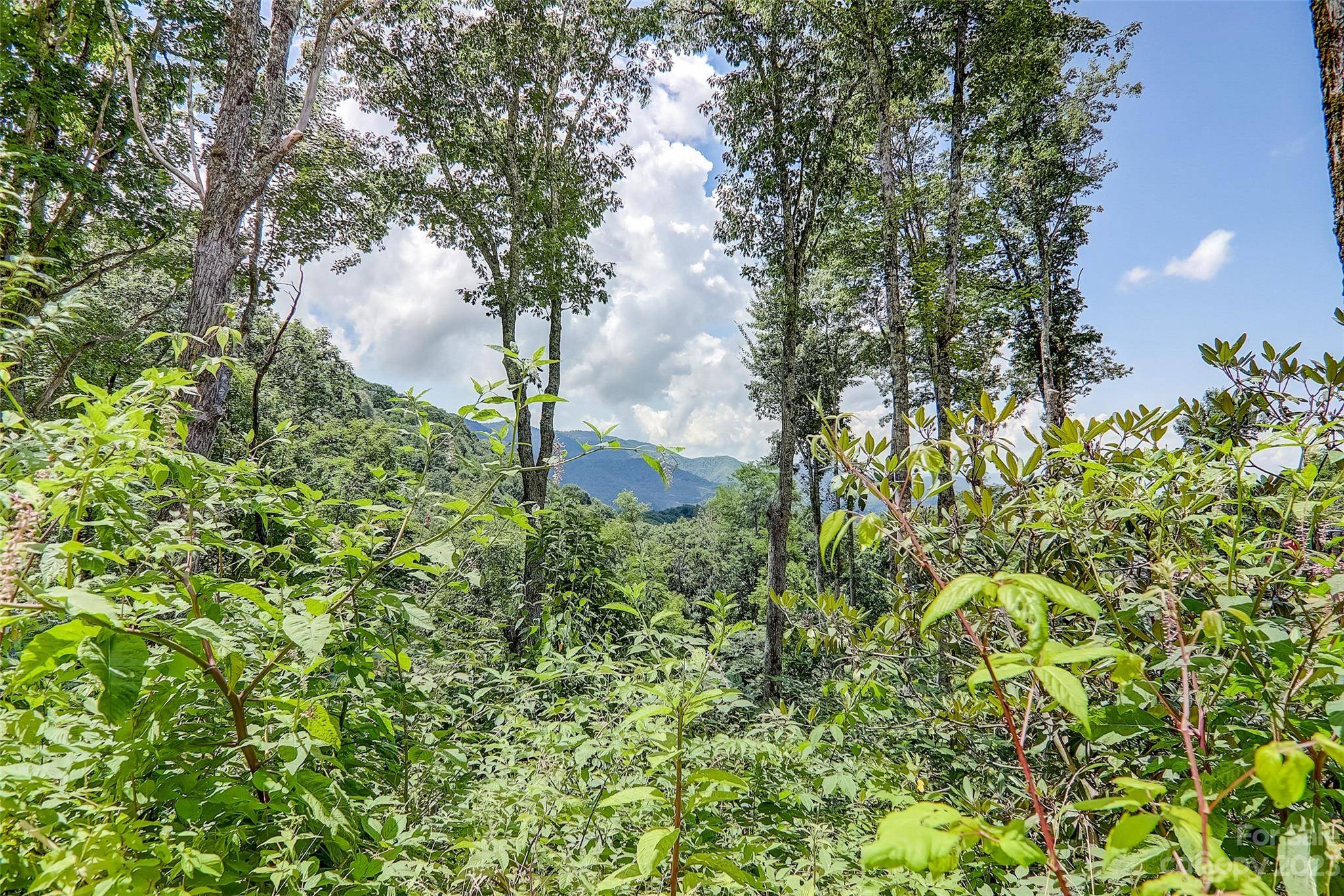0 Centurian LN #26, Maggie Valley, NC 28751