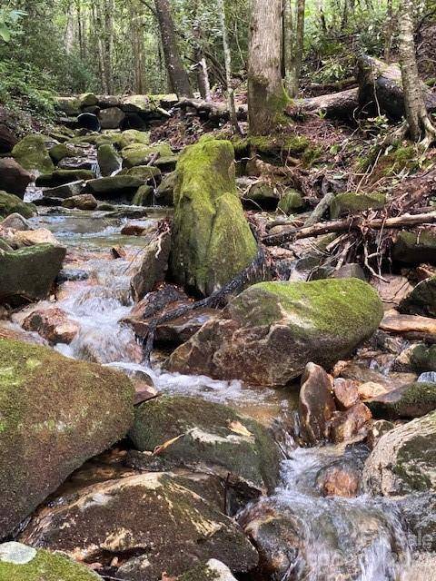 619 Speckled Feather PASS, Sapphire, NC 28774