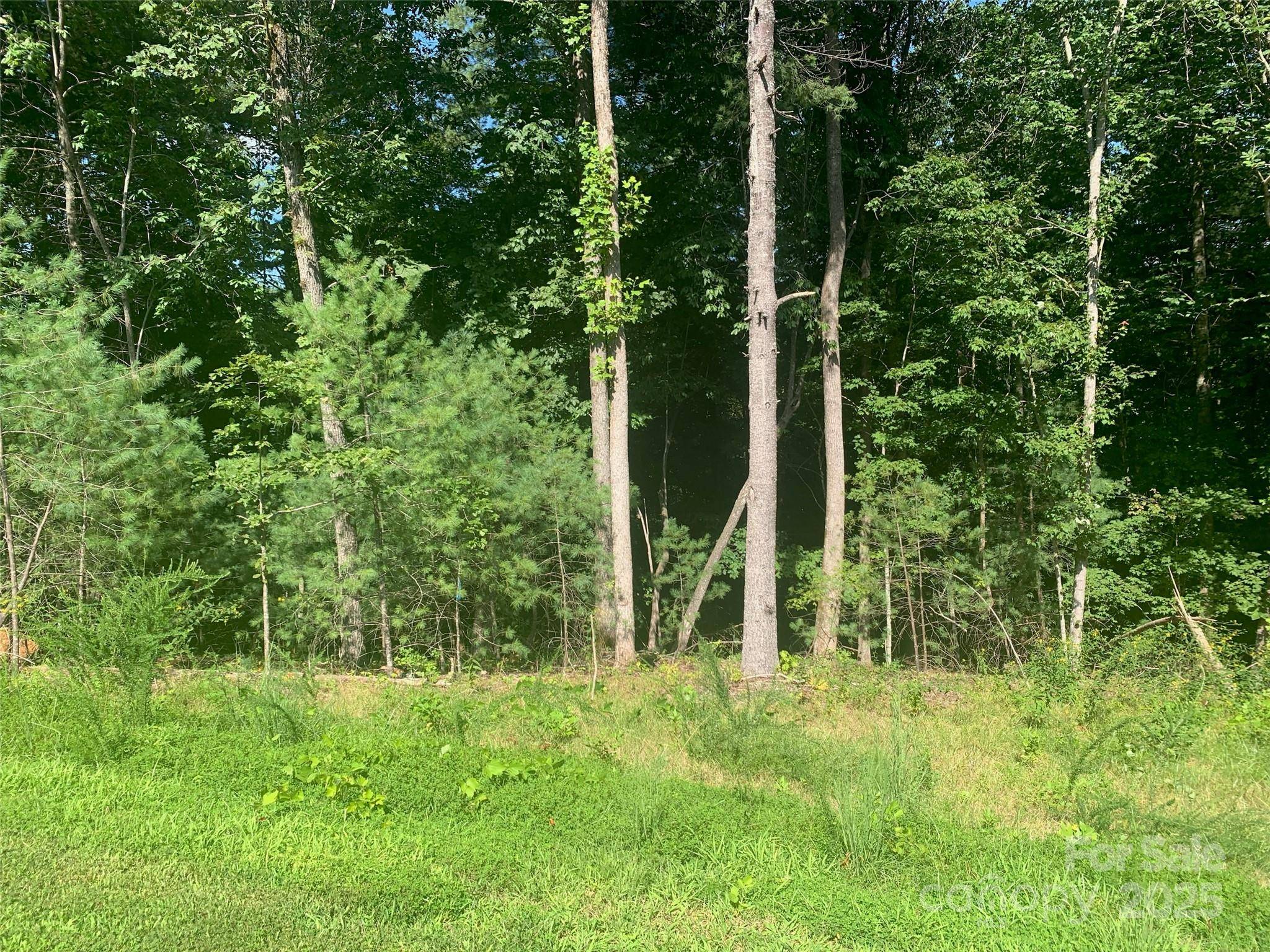 2.32 acres Lot 72 Round Mountain Pkwy #72, Lenoir, NC 28645