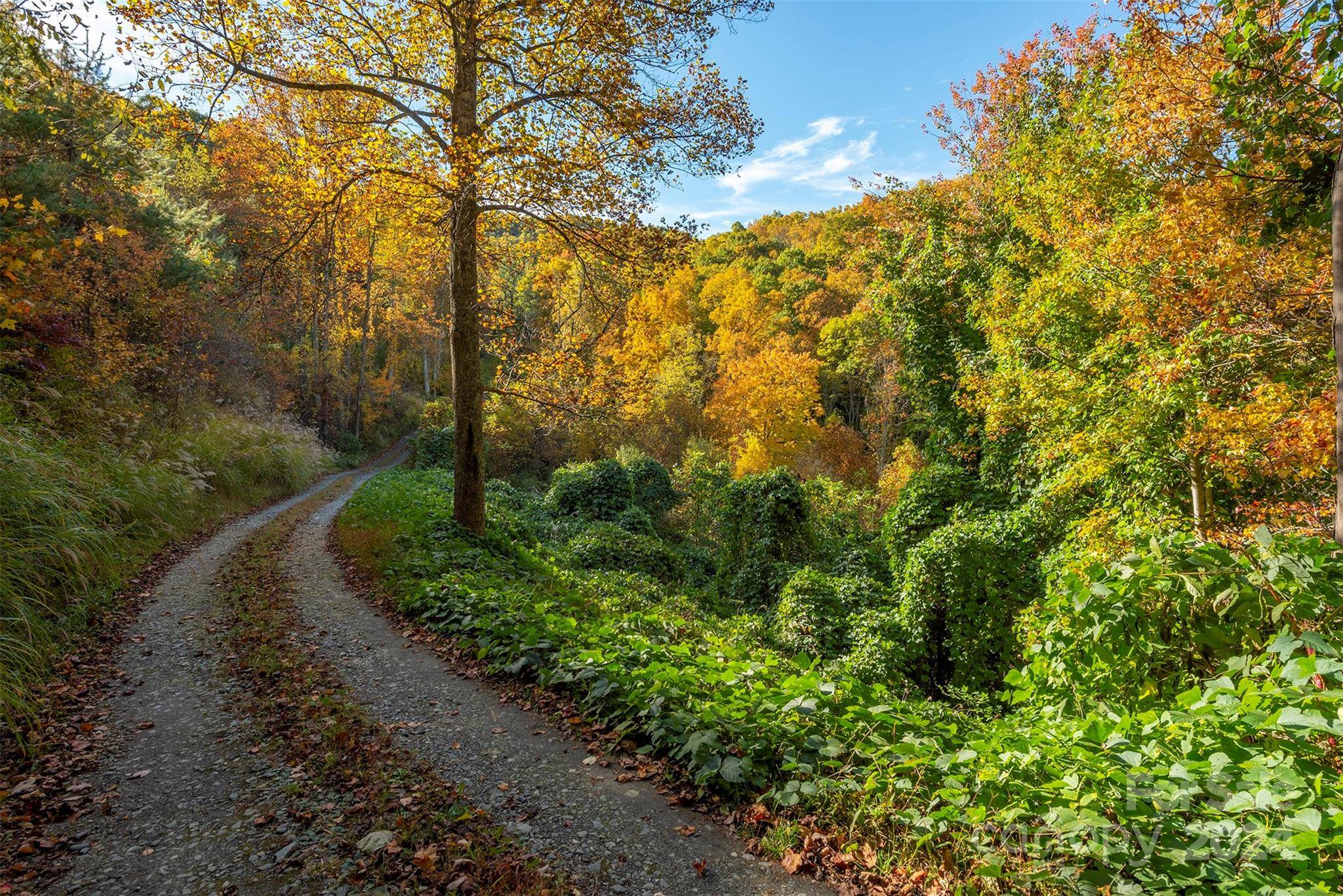 99999 Harwood RD, Barnardsville, NC 28709