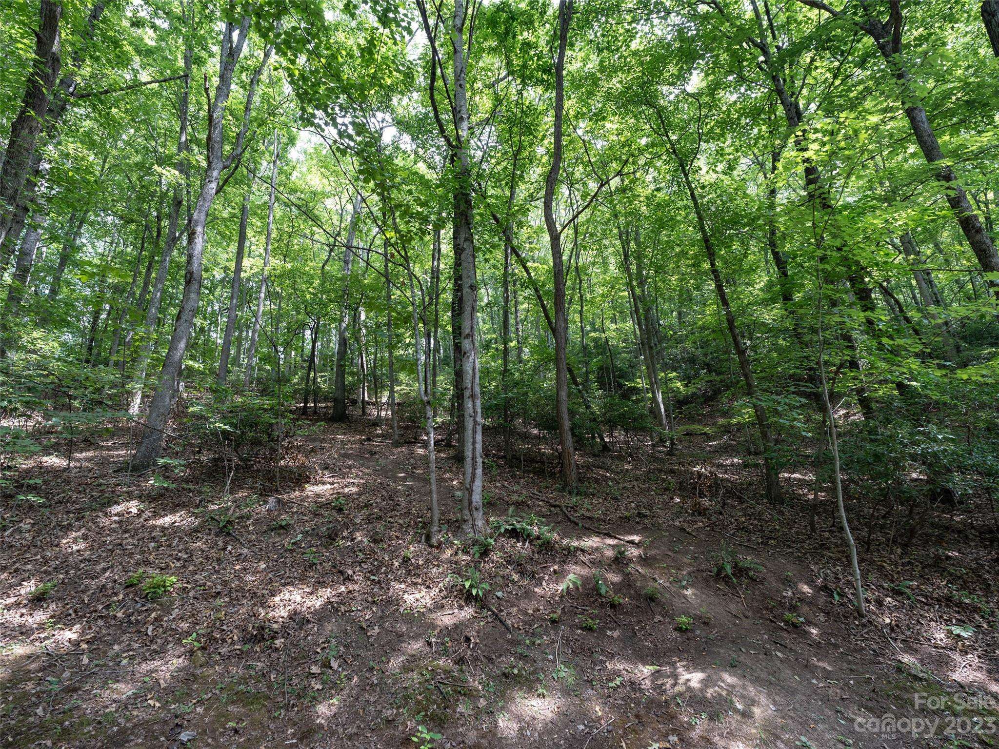 00 Grouse Ridge RD #1, Waynesville, NC 28786