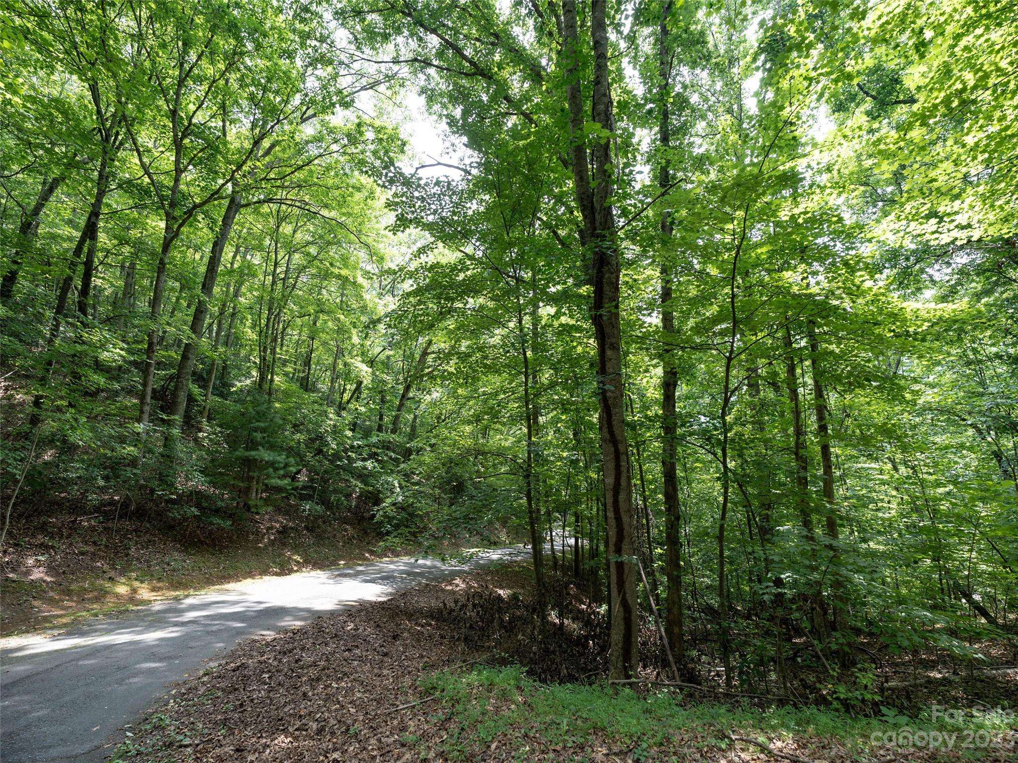 00 Grouse Ridge RD #1, Waynesville, NC 28786