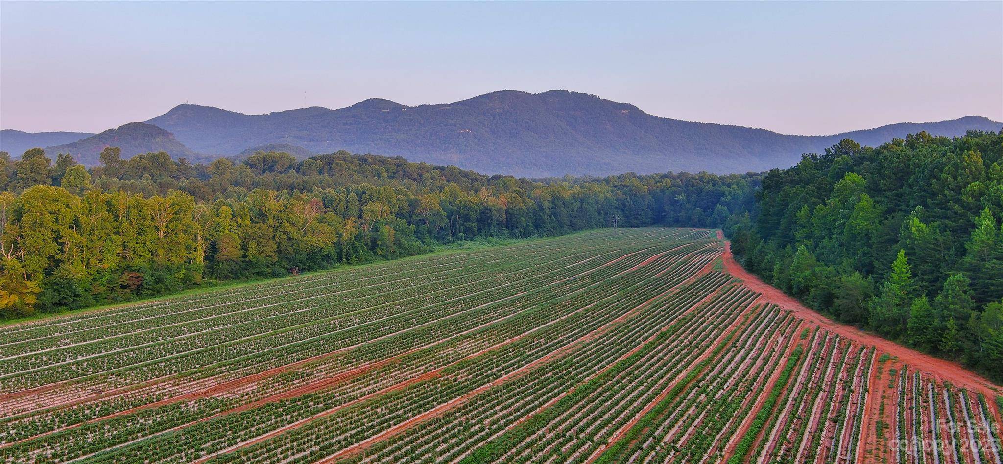 0 Fox Mountain RD #1, Columbus, NC 28722