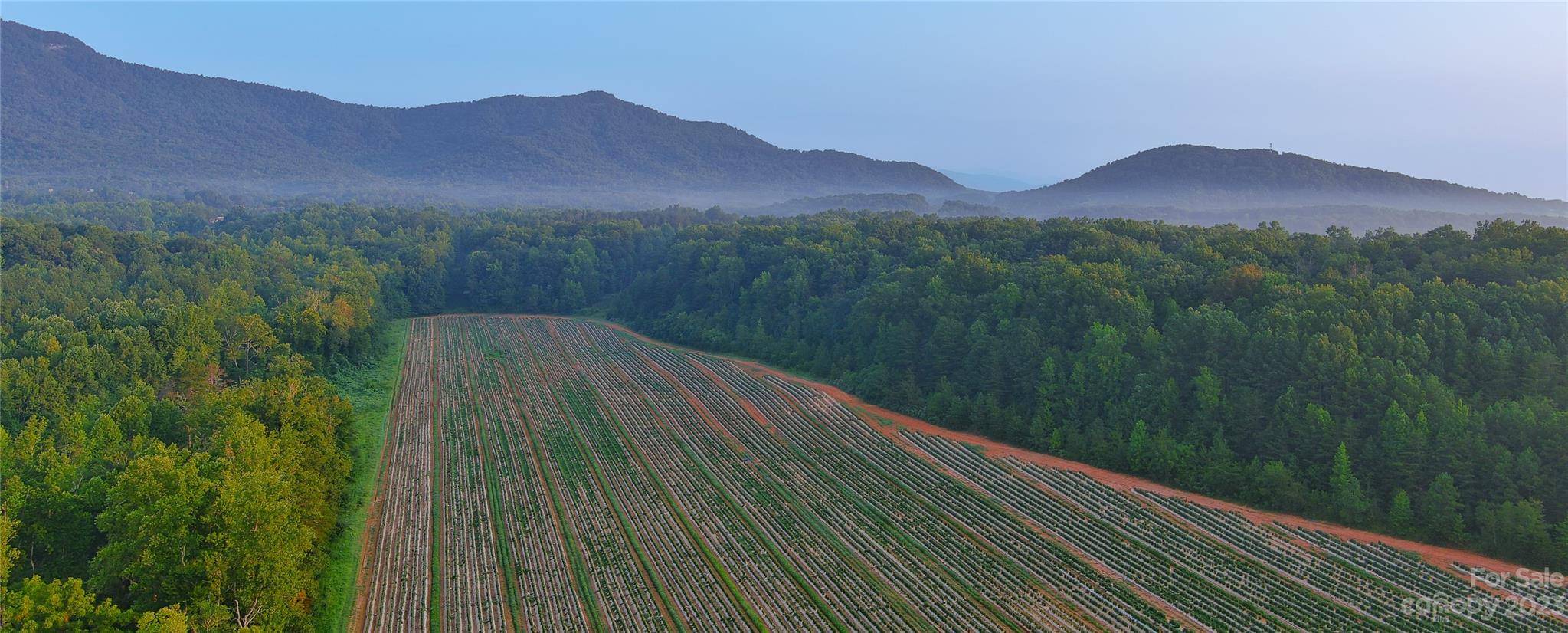 0 Fox Mountain RD #2, Columbus, NC 28722