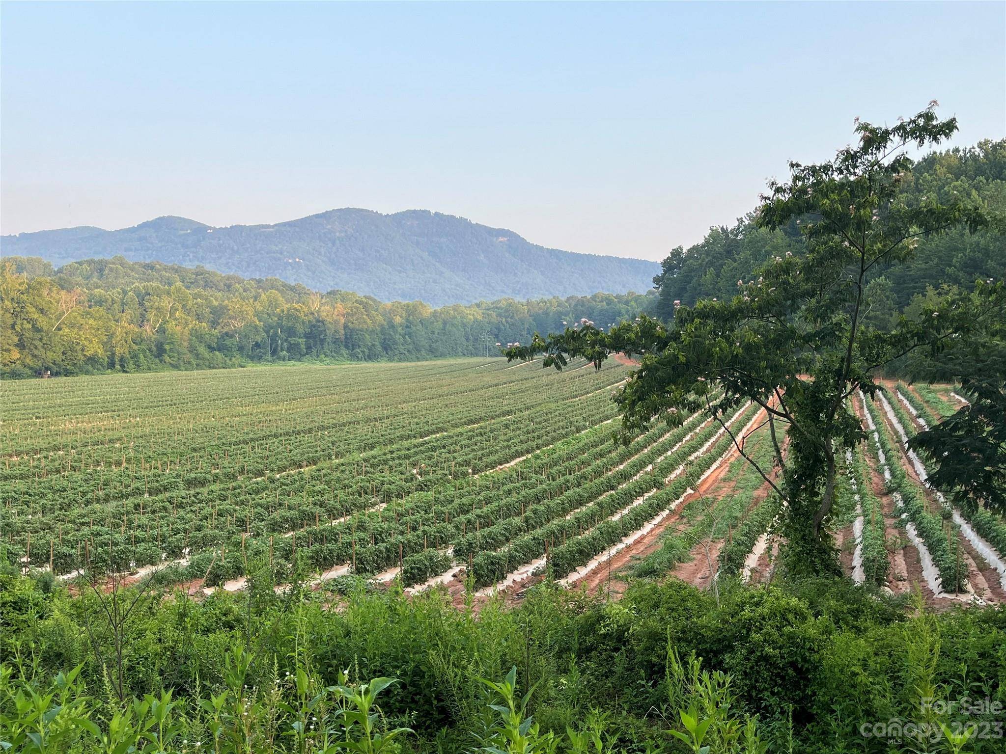 0 Fox Mountain RD #2, Columbus, NC 28722