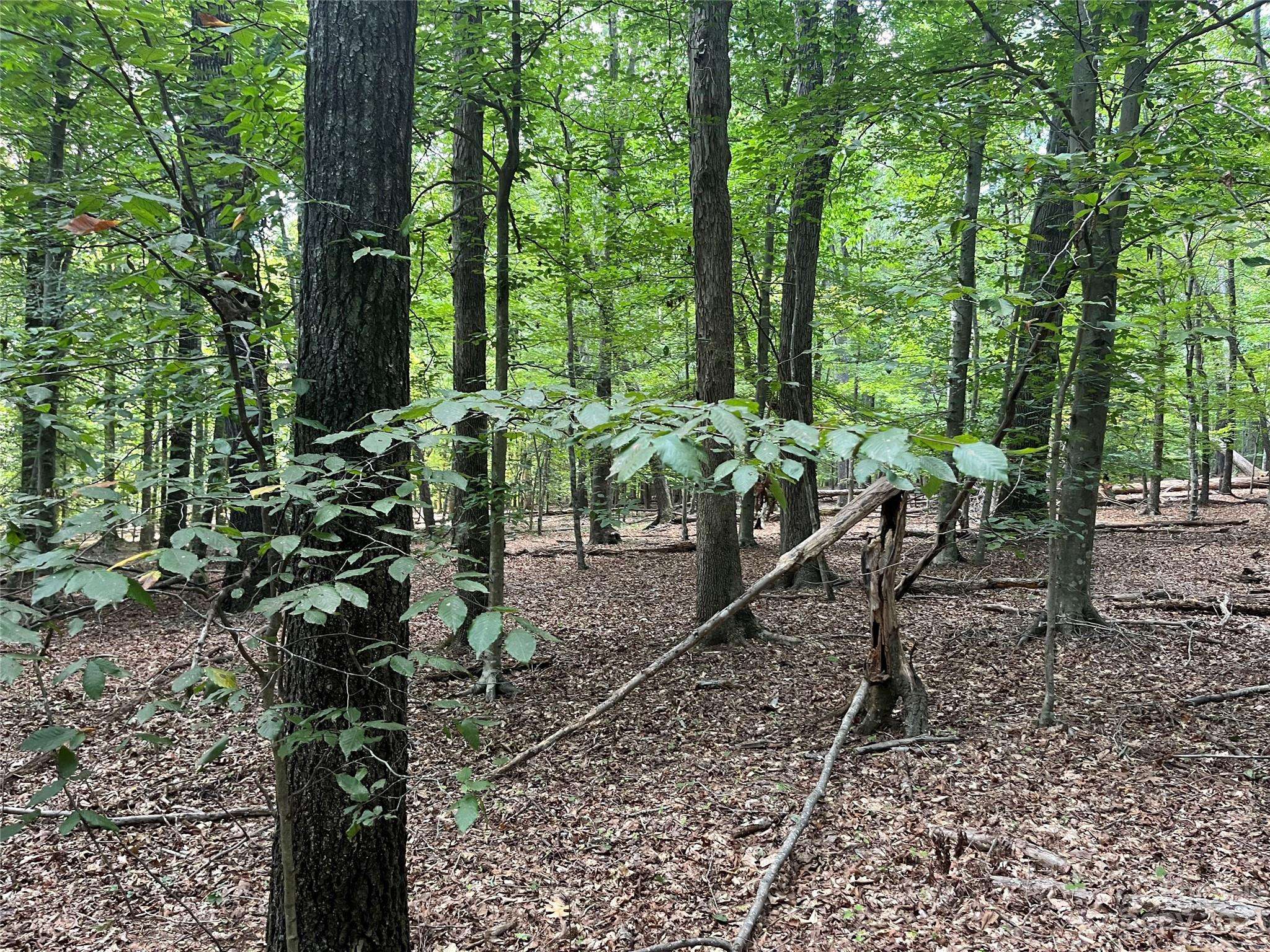 0 Fox Mountain RD #9, Columbus, NC 28722