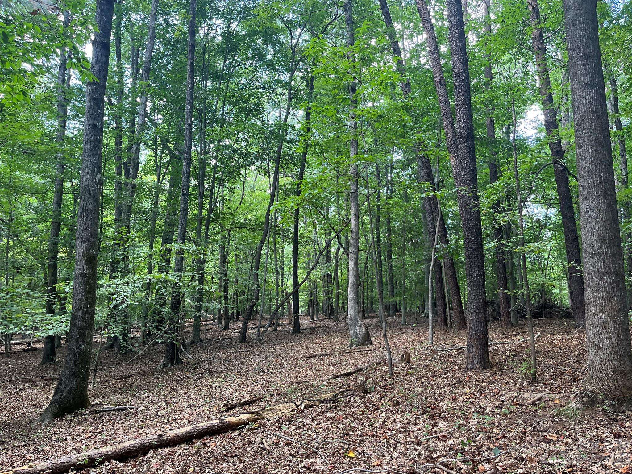 0 Fox Mountain RD #9, Columbus, NC 28722