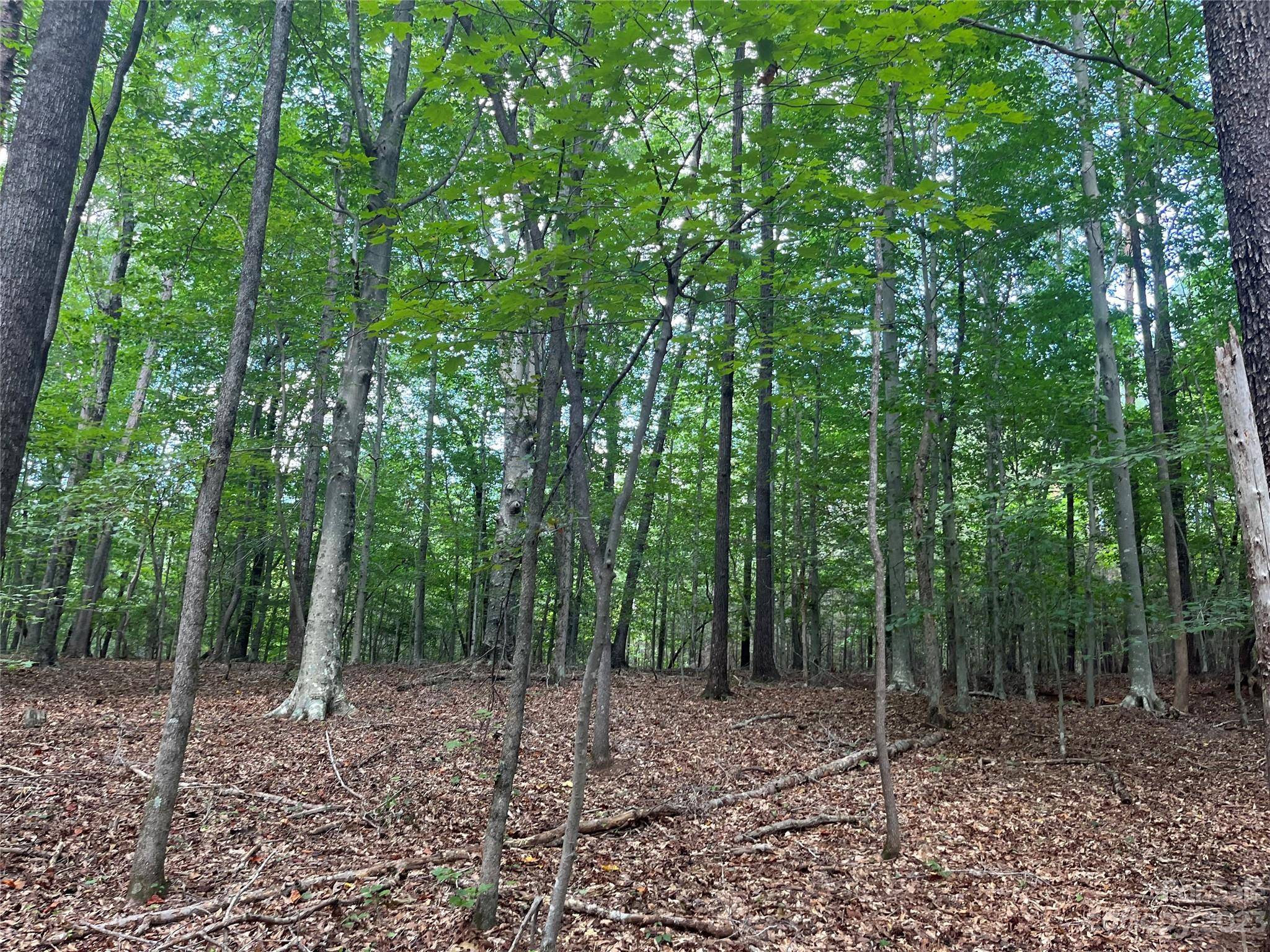 0 Fox Mountain RD #9, Columbus, NC 28722