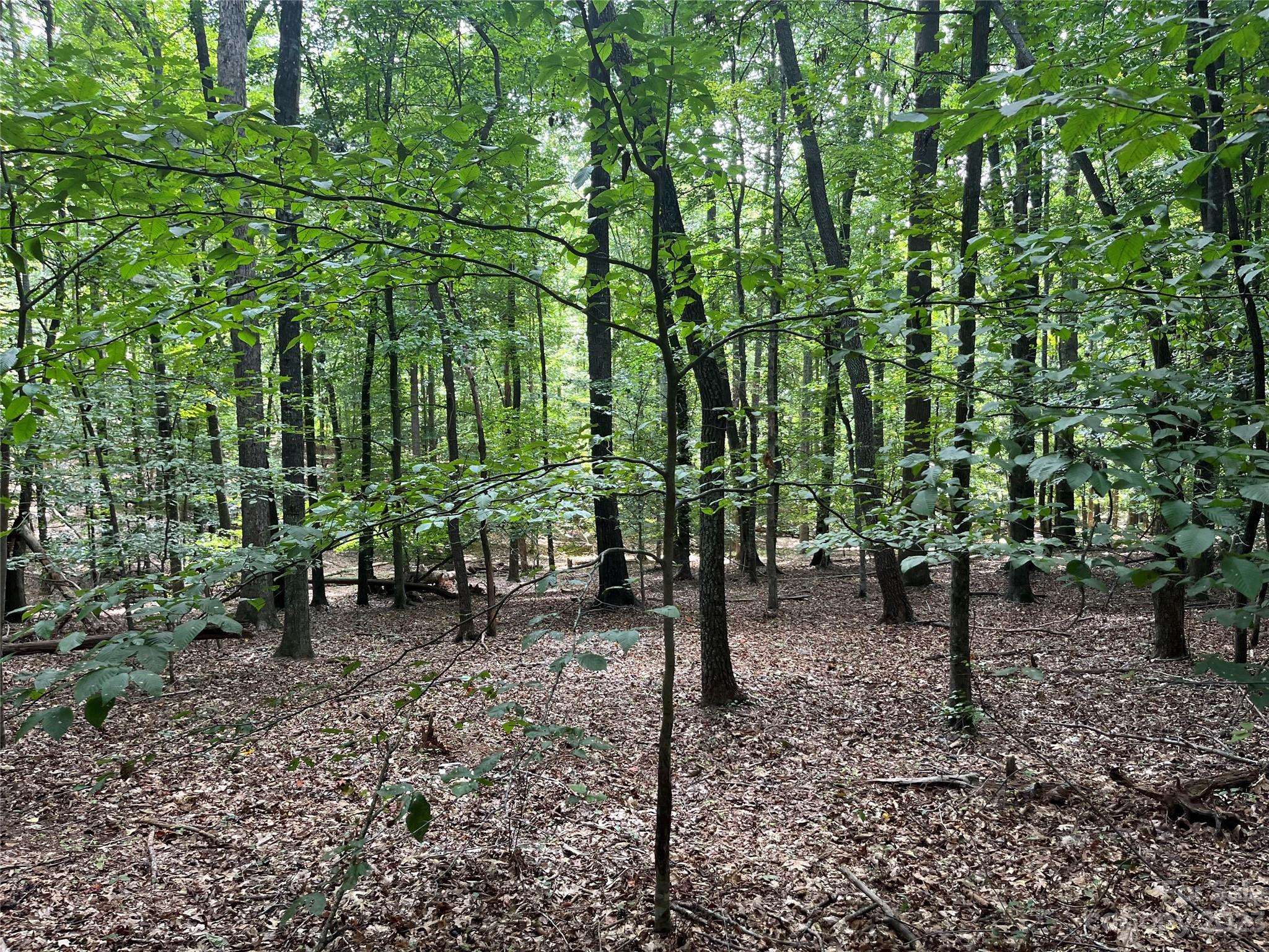 0 Fox Mountain RD #9, Columbus, NC 28722