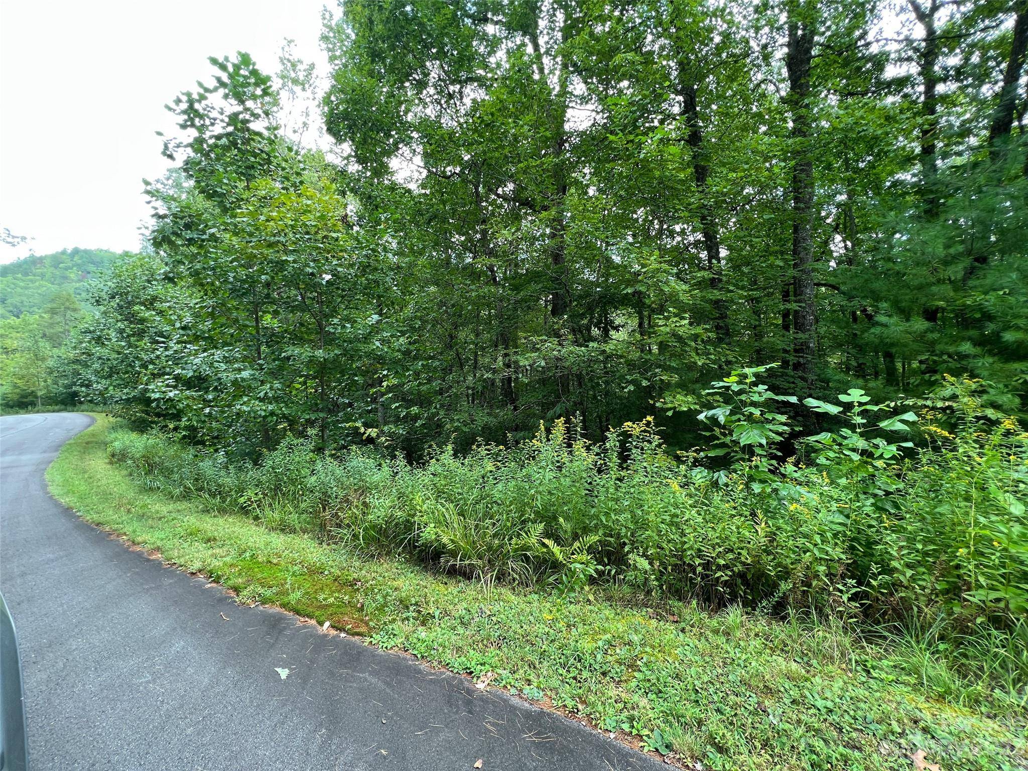 103 Laurel Thicket LN, Brevard, NC 28712